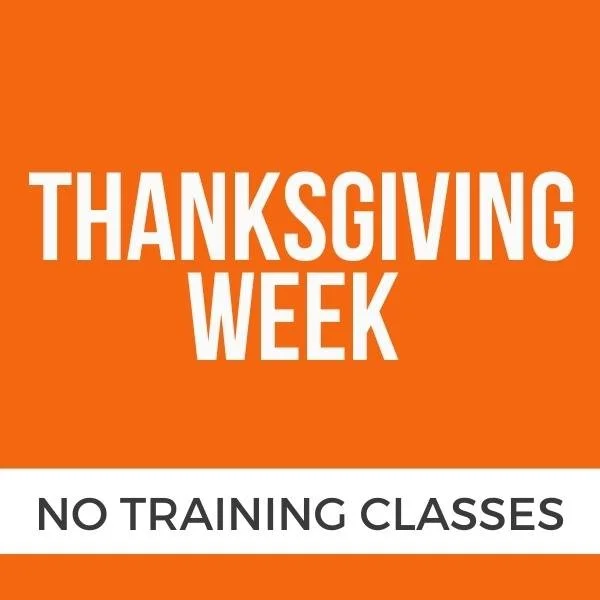 THANKSGIVING HOLIDAY - NO CLASS