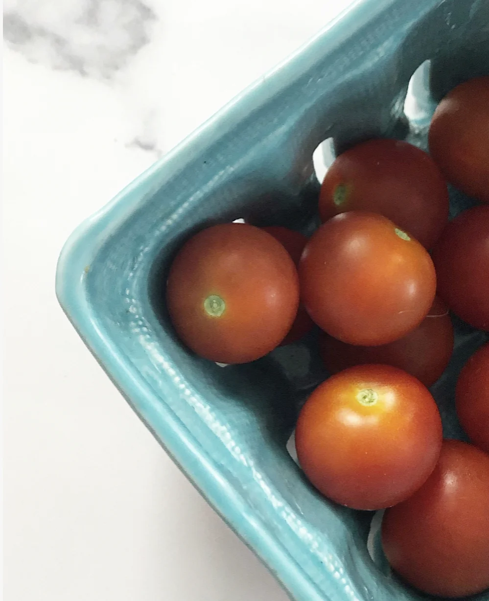 My garden is teaching me things about myself and it's got me shook...