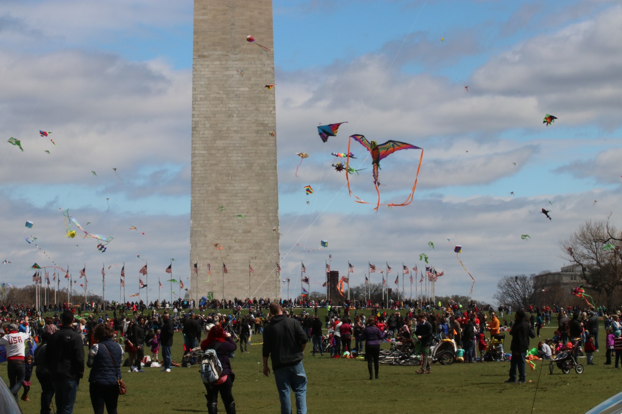 Blossom Kite Festival.jpg