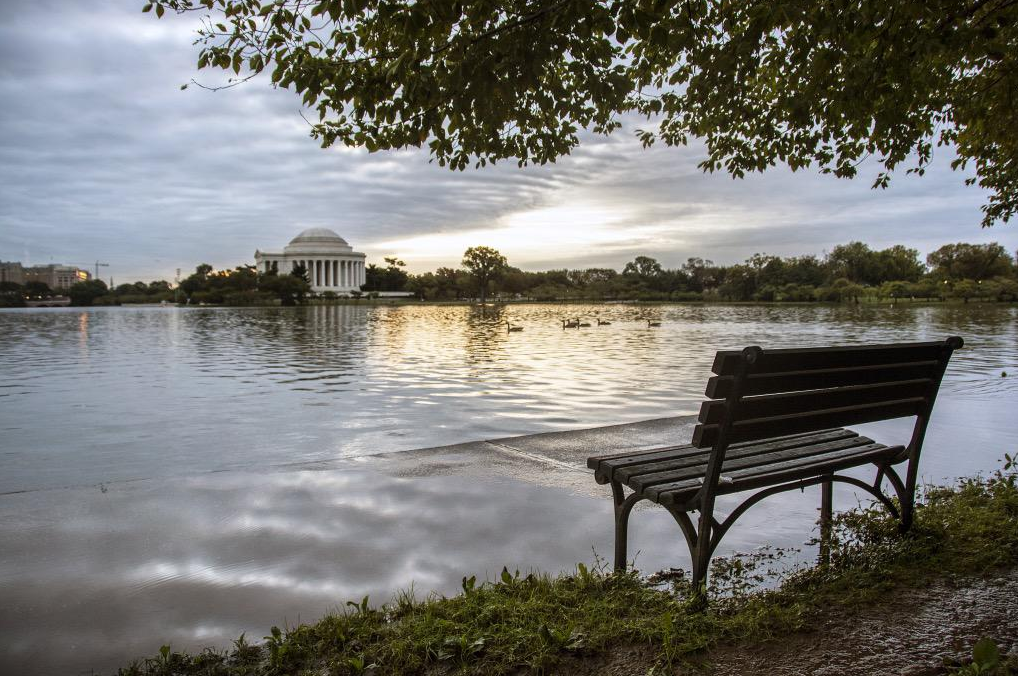 Image result for national trust for historic preservation: Tidal Basin