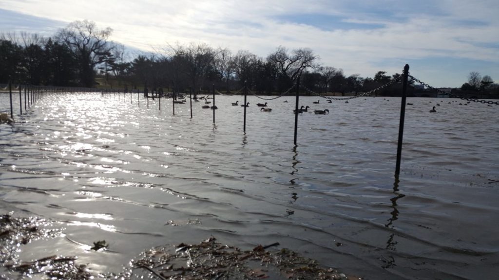 Tidal Basin Flooding 3.jpg