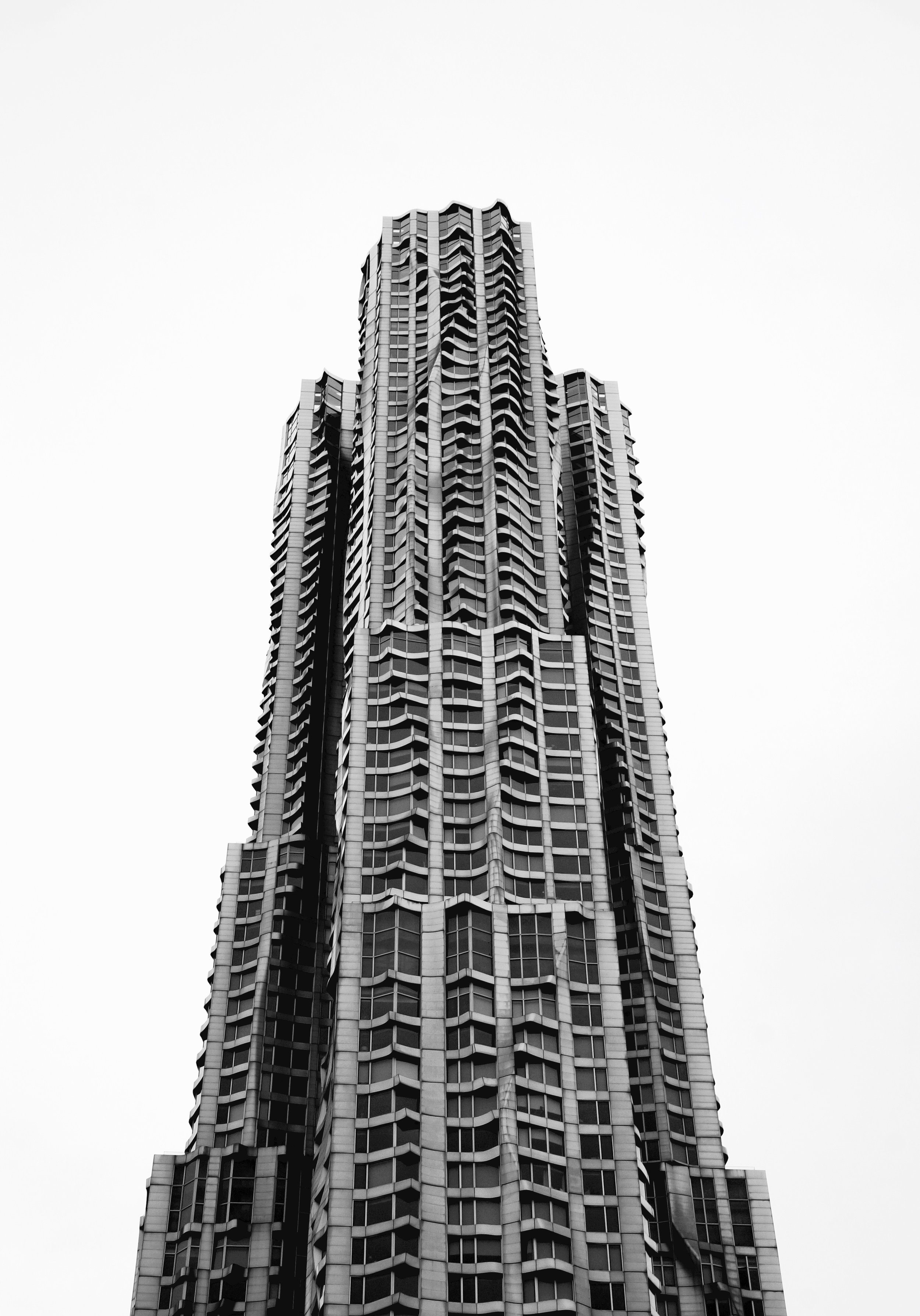 DSC08609.jpg