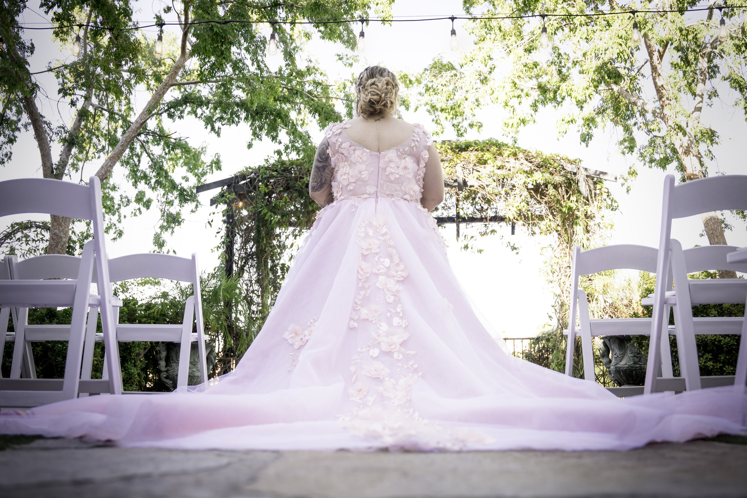 DSC02702-Edit copy.jpg