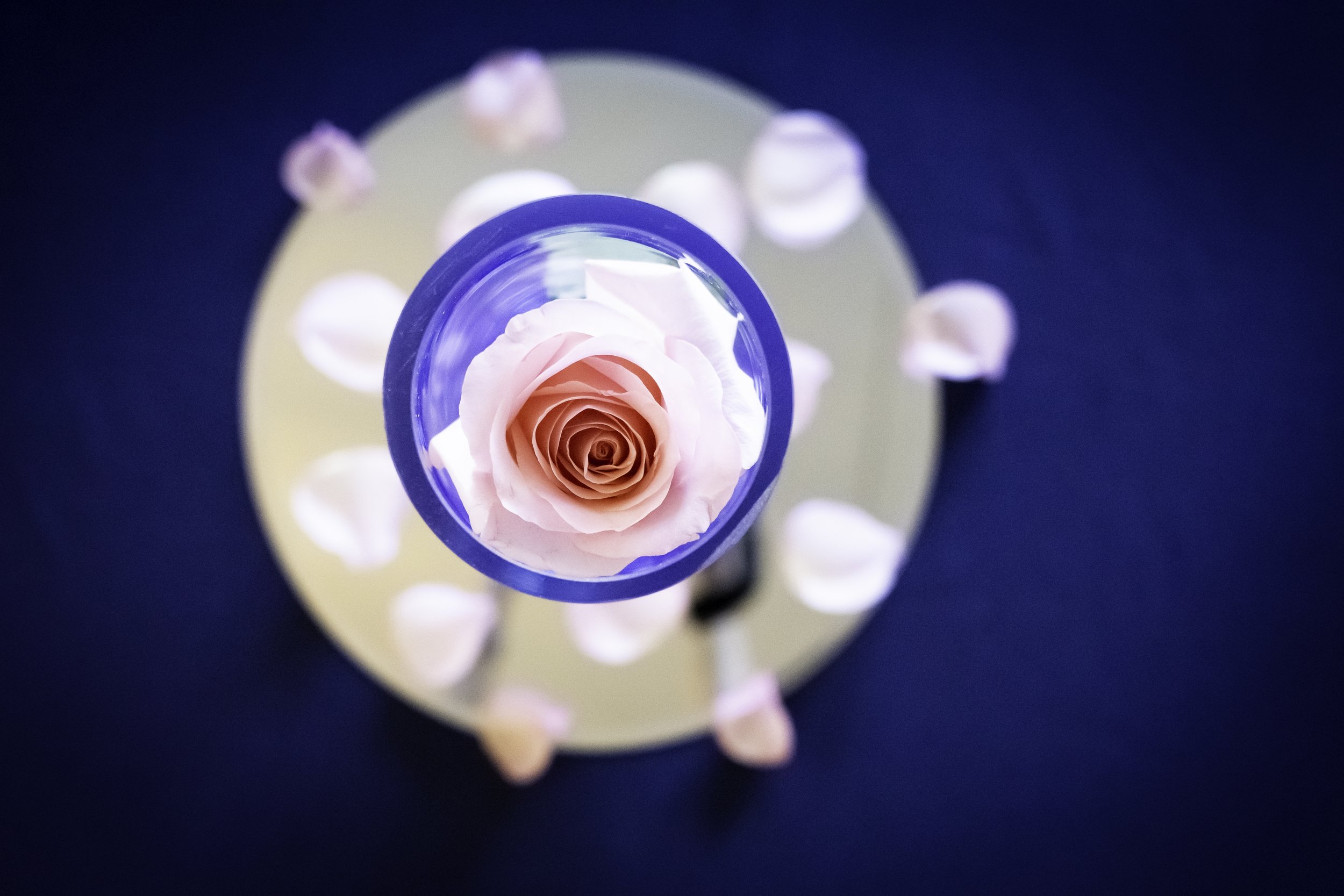 DSC02681-Edit copy.jpg