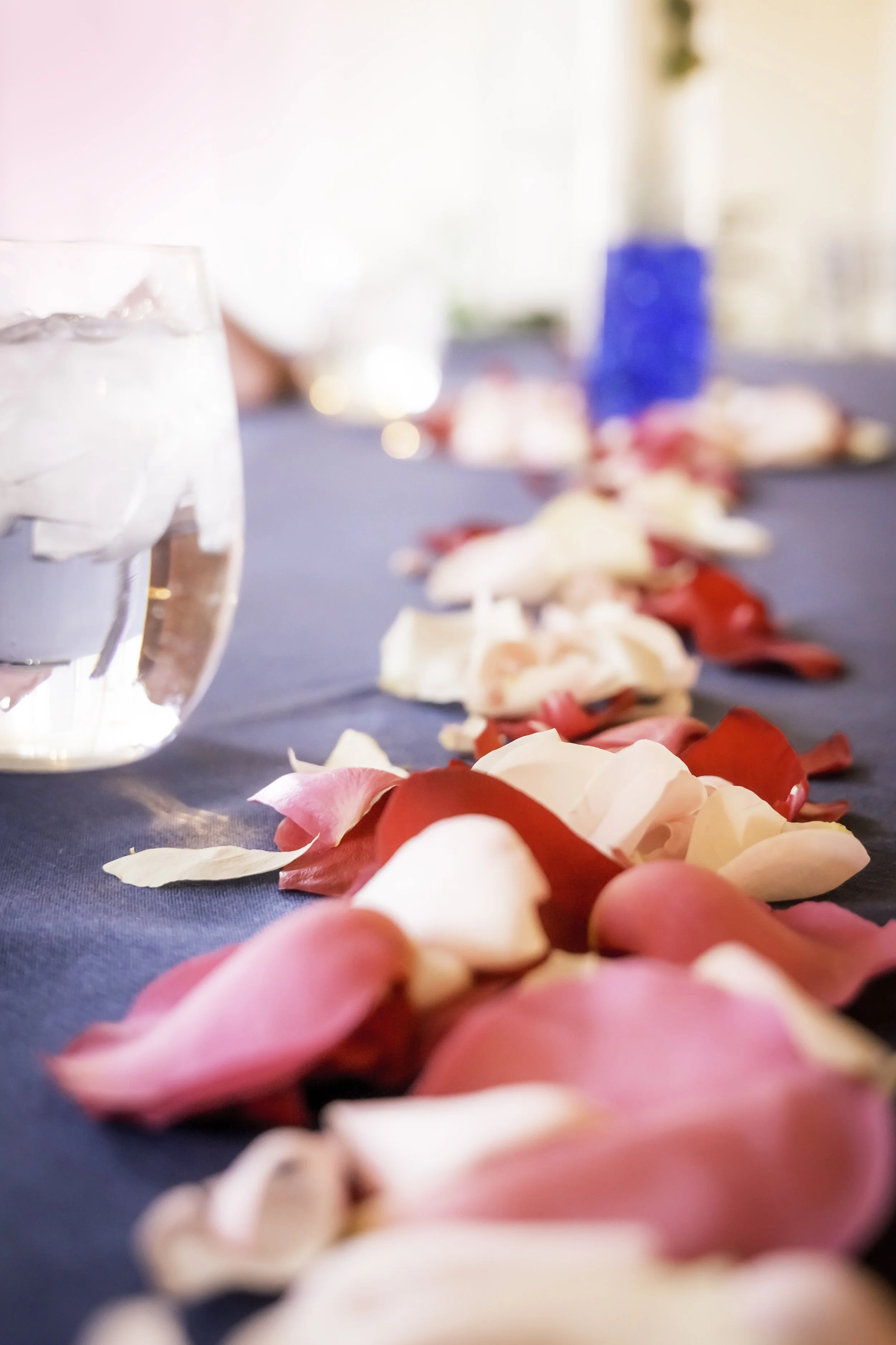 DSC03086-Edit copy.jpg