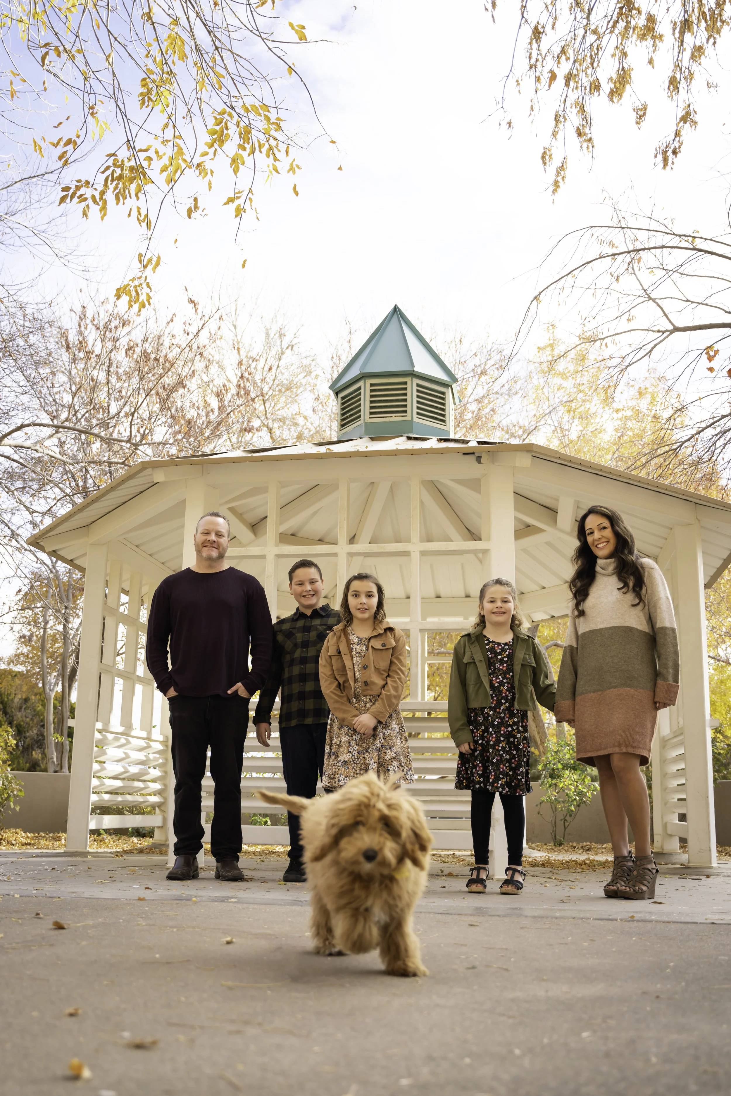 DSC02350-Edit copy.jpg