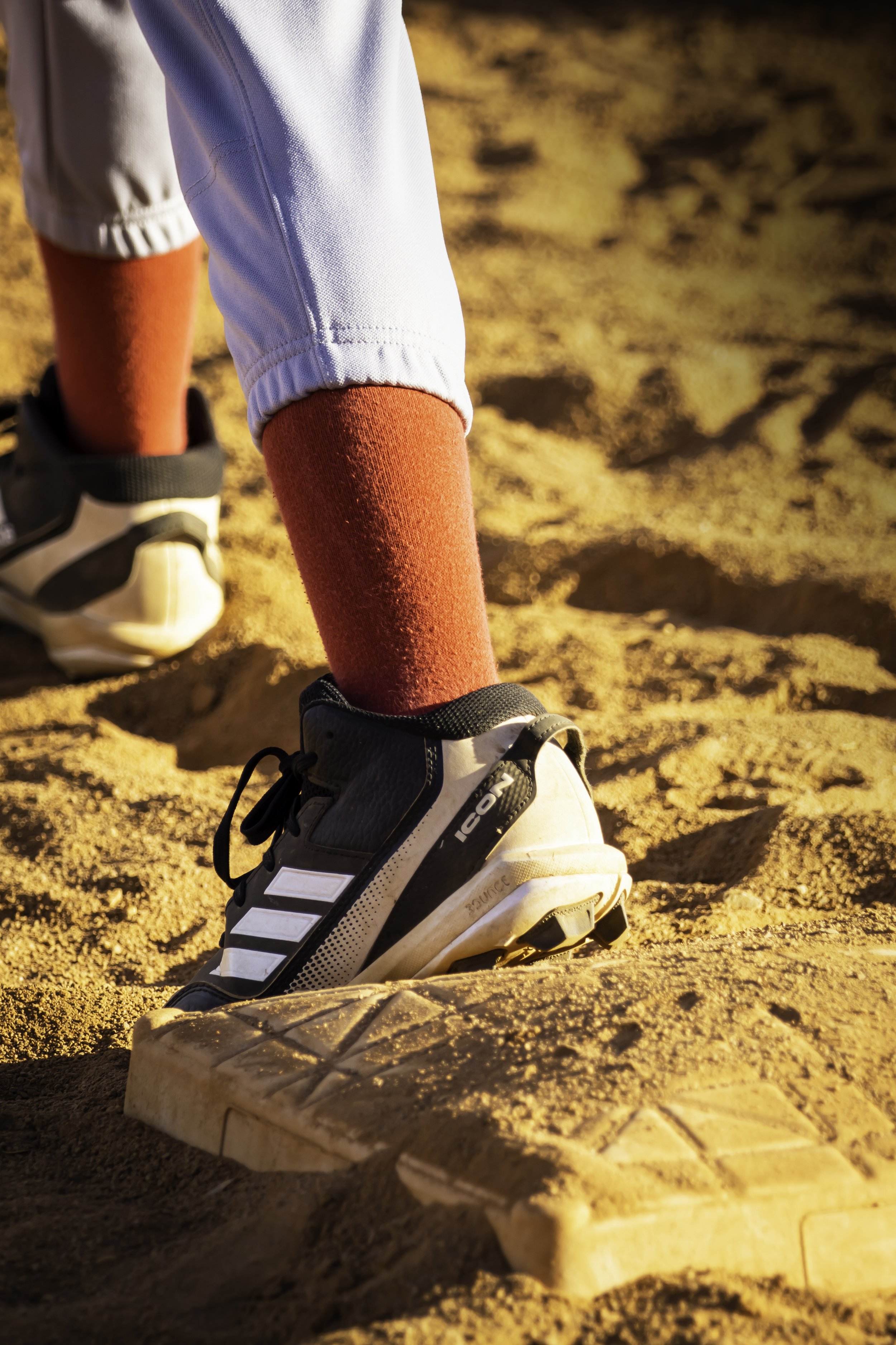 DSC07538-Edit copy.jpg