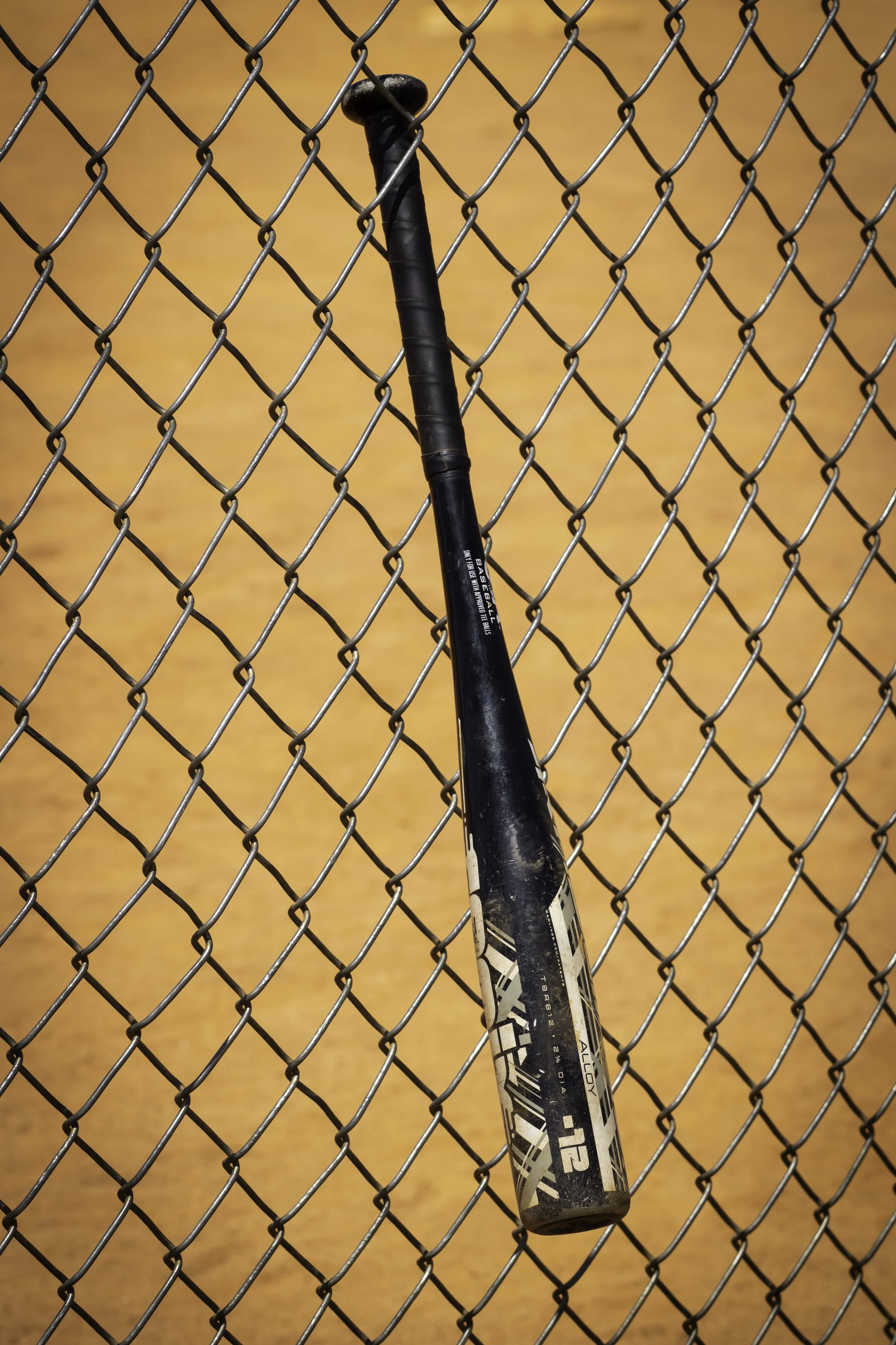 DSC00344-Edit copy.jpg