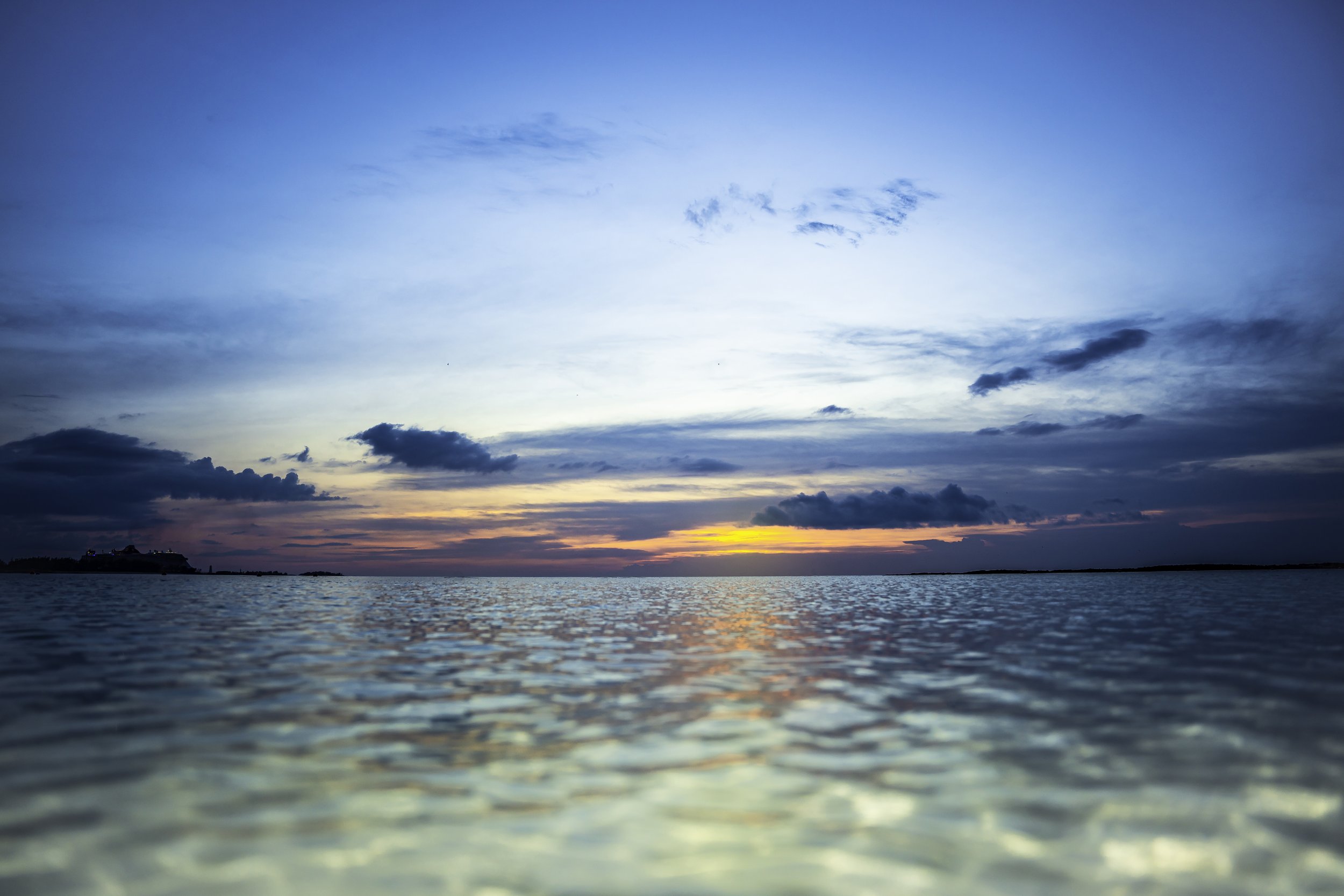 DSC02913-Edit copy.jpg