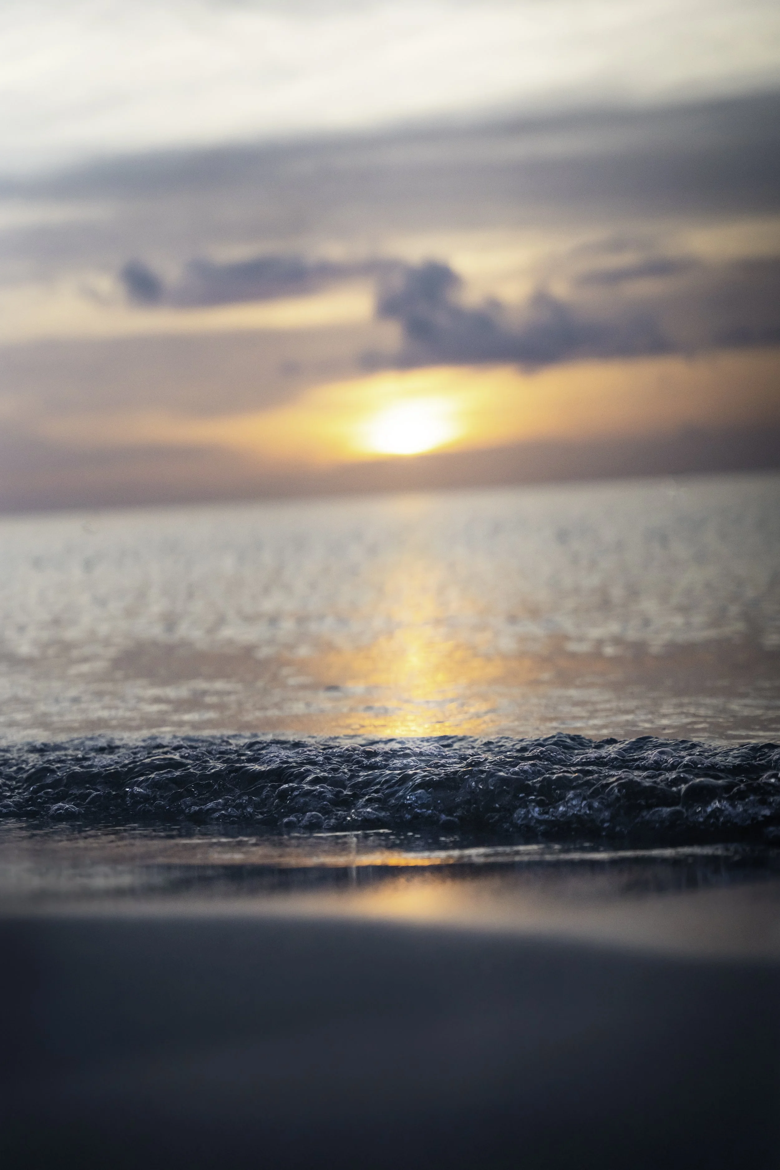 DSC02883-Edit copy.jpg