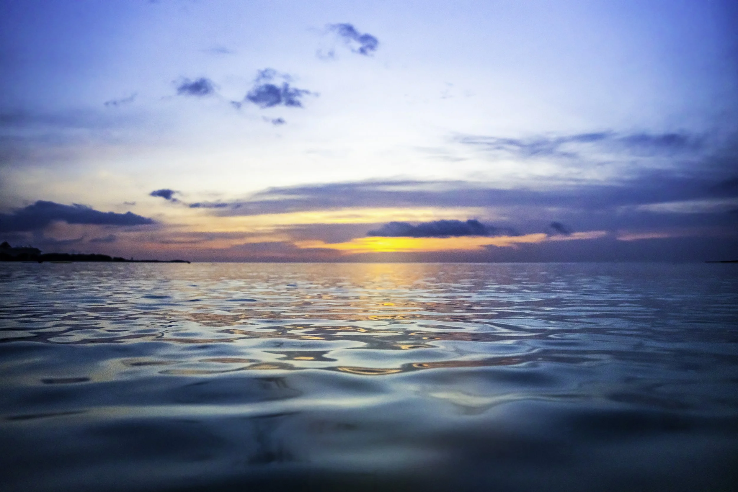 DSC02909-Edit copy.jpg