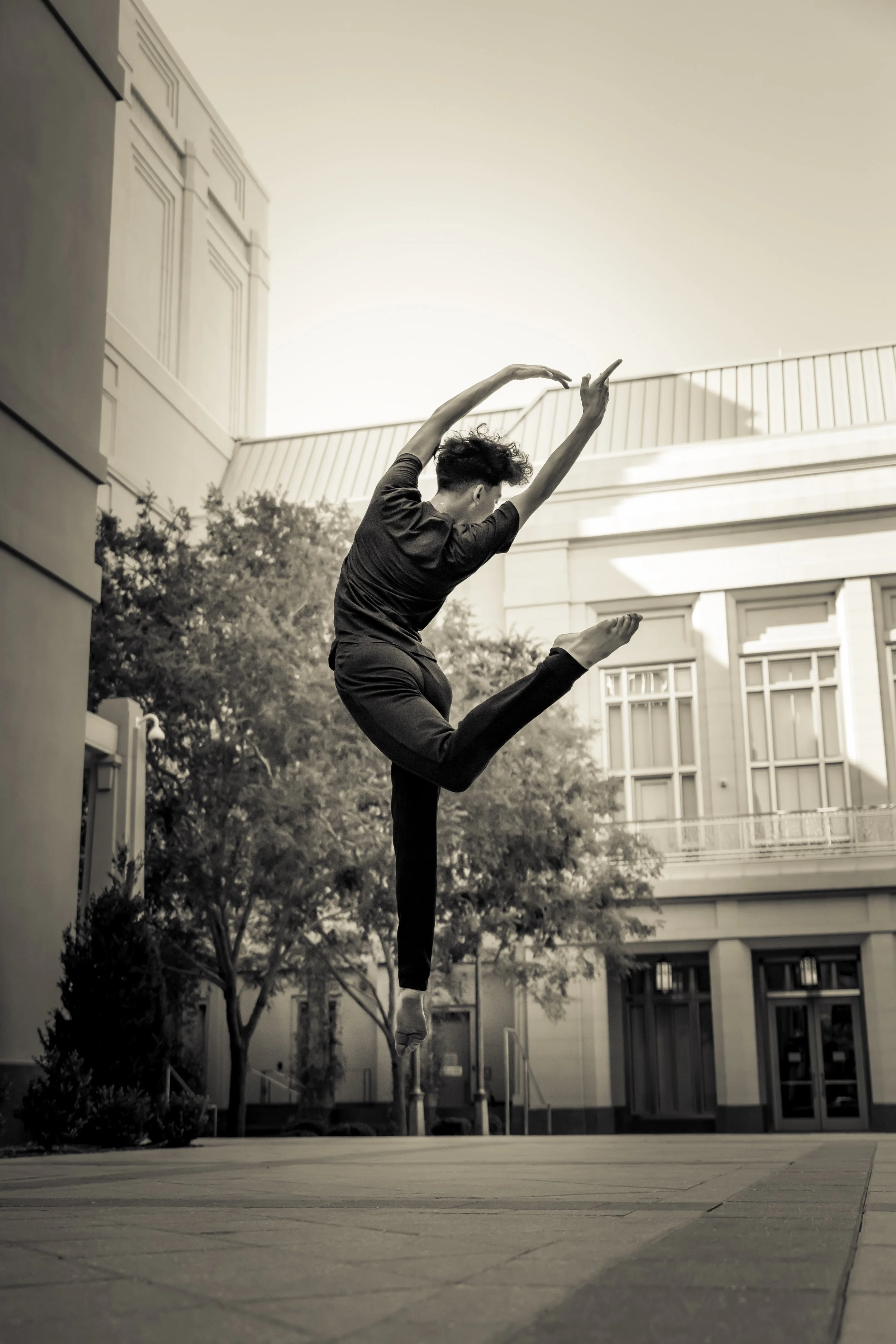 DSC01479-Edit copy.jpg