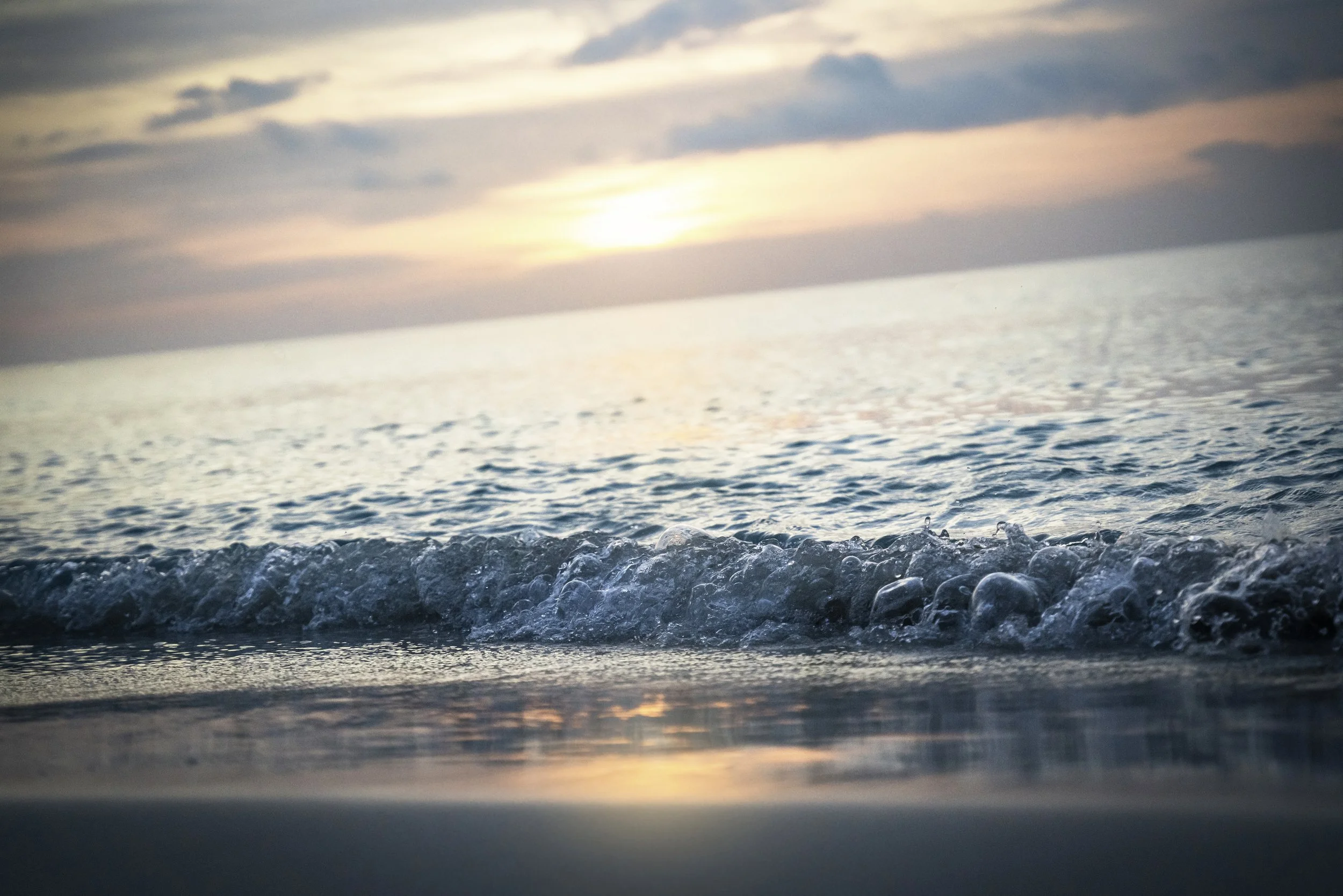 DSC02902-Edit copy.jpg