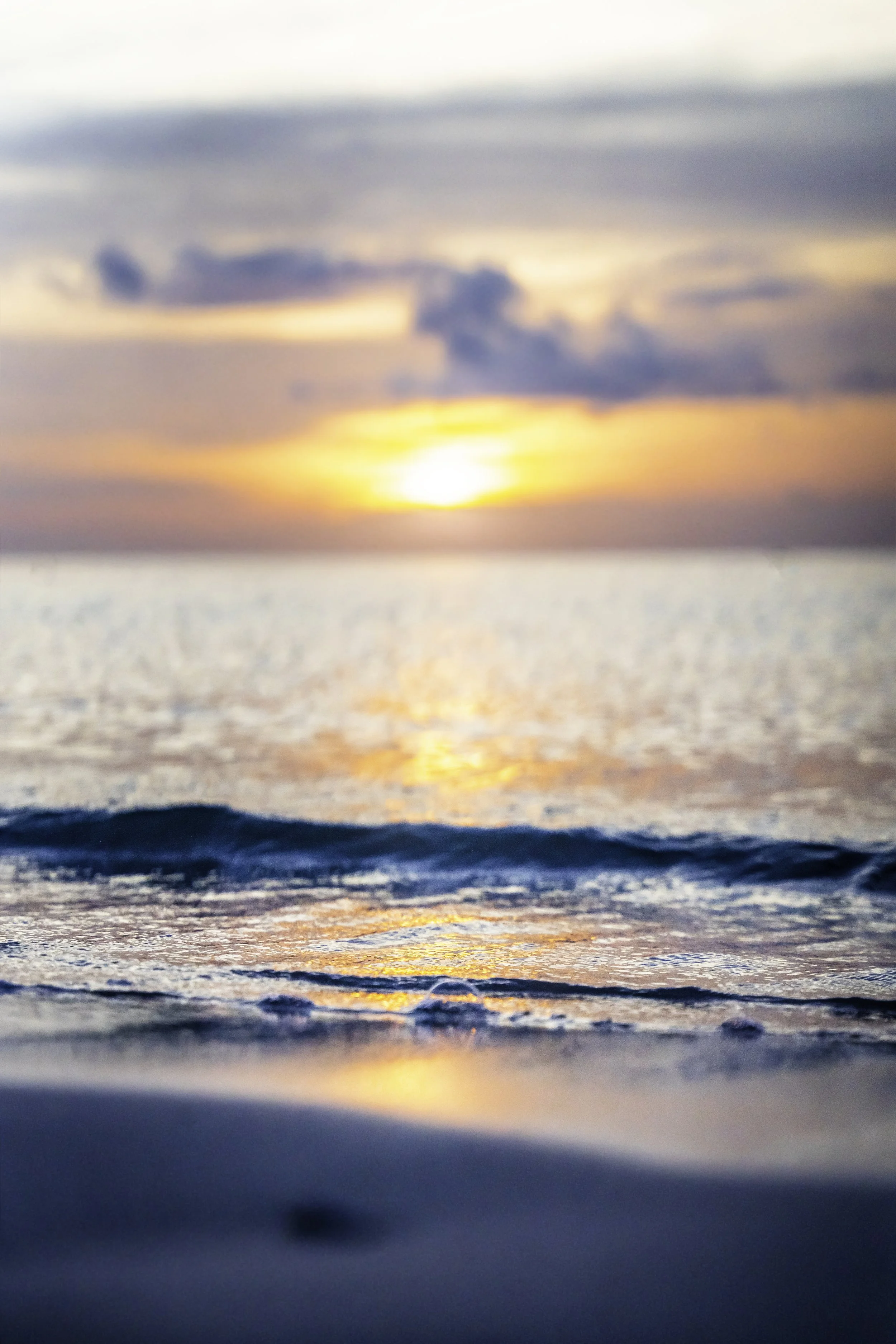 DSC02882-Edit copy.jpg