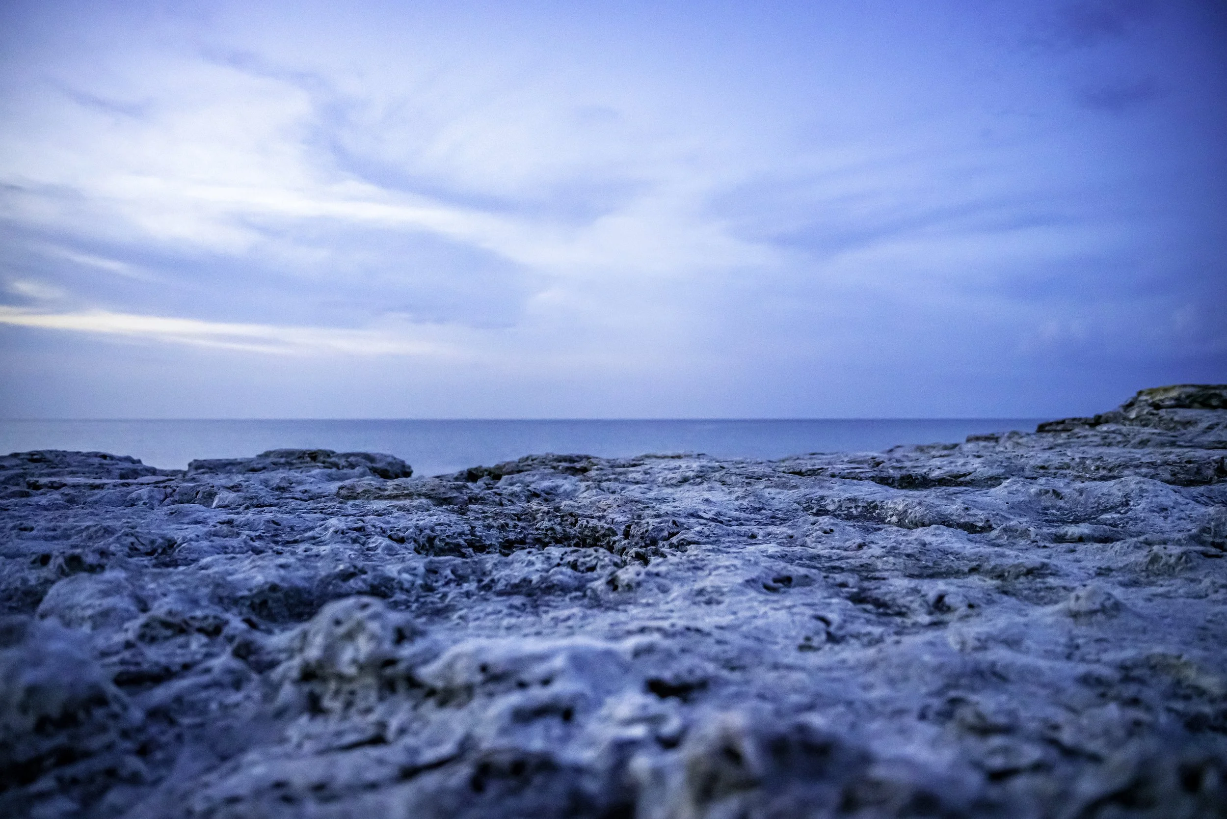 DSC02923-Edit copy.jpg