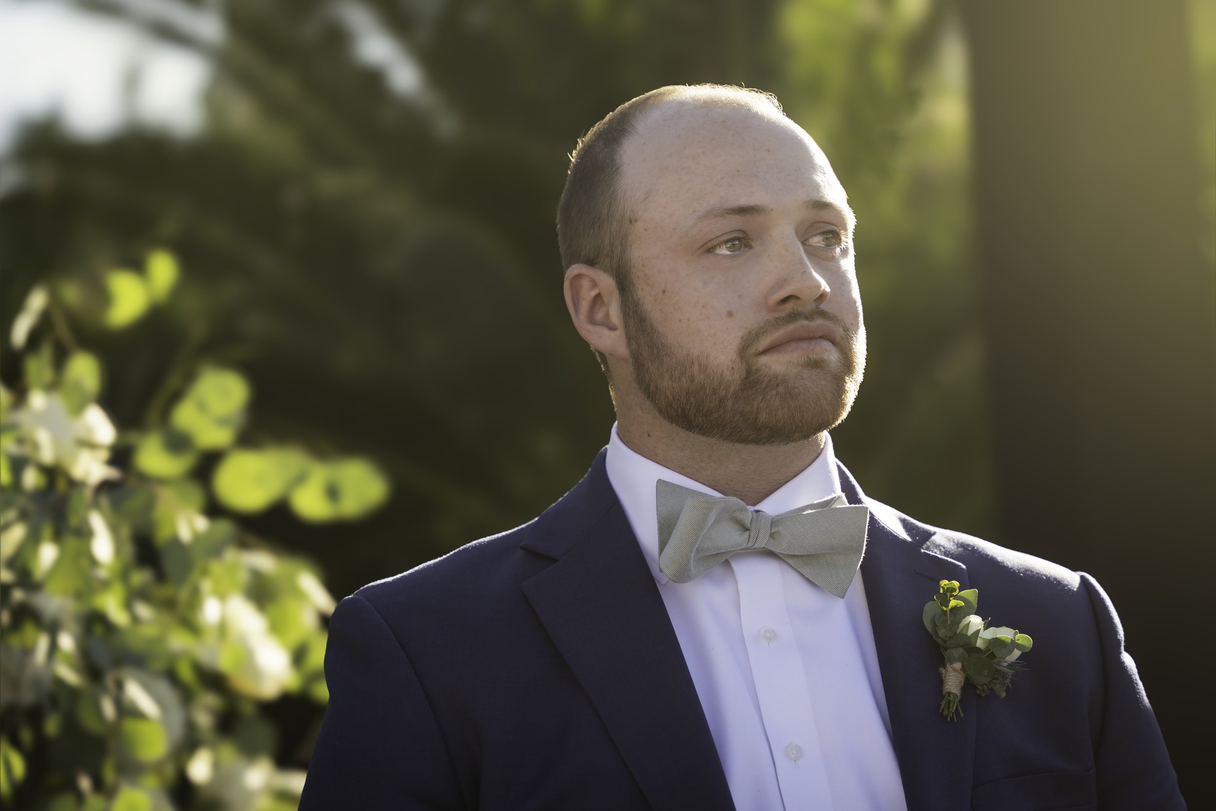 DSC08654-Edit copy.jpg