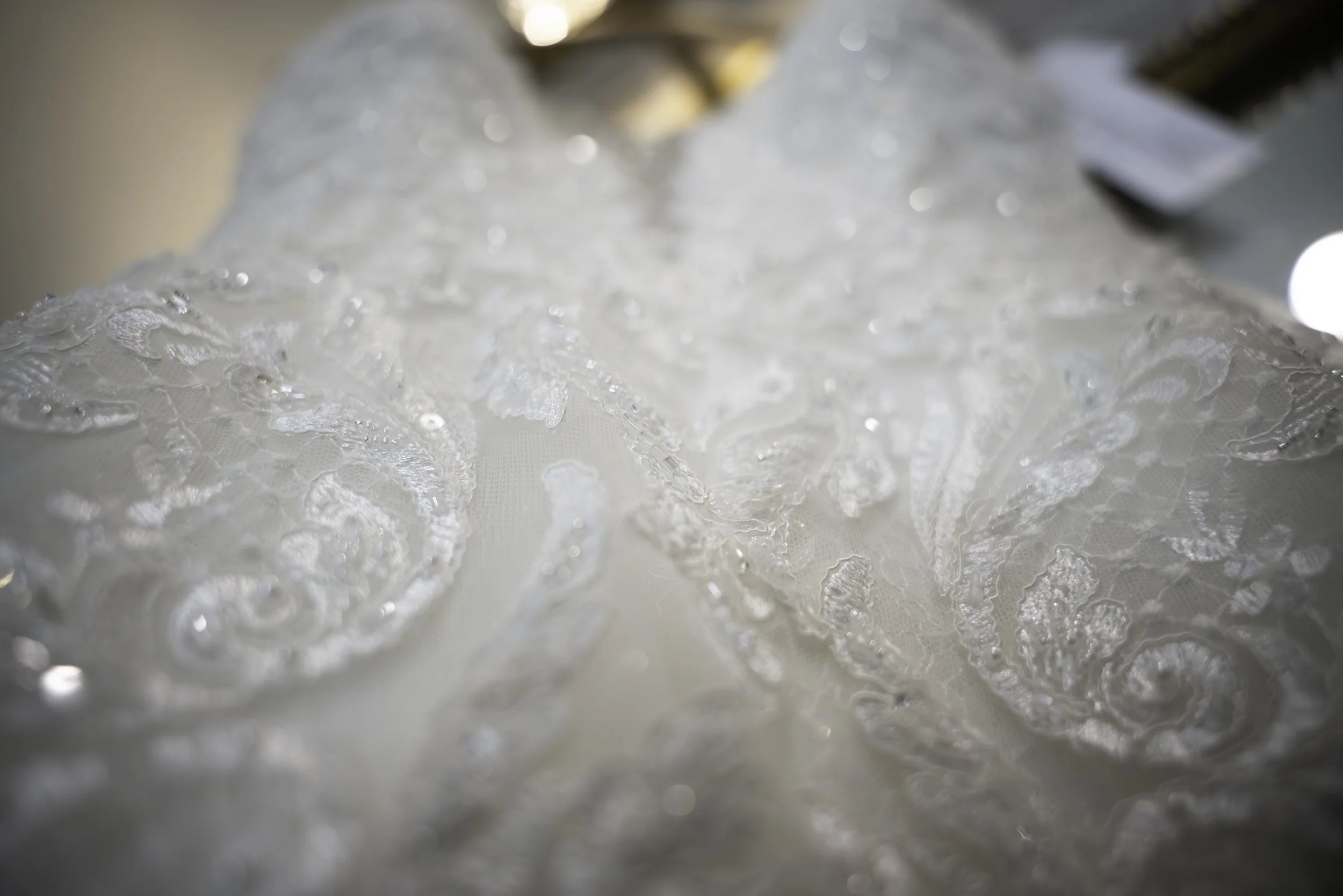 DSC07521-Enhanced-NR-Edit copy.jpg