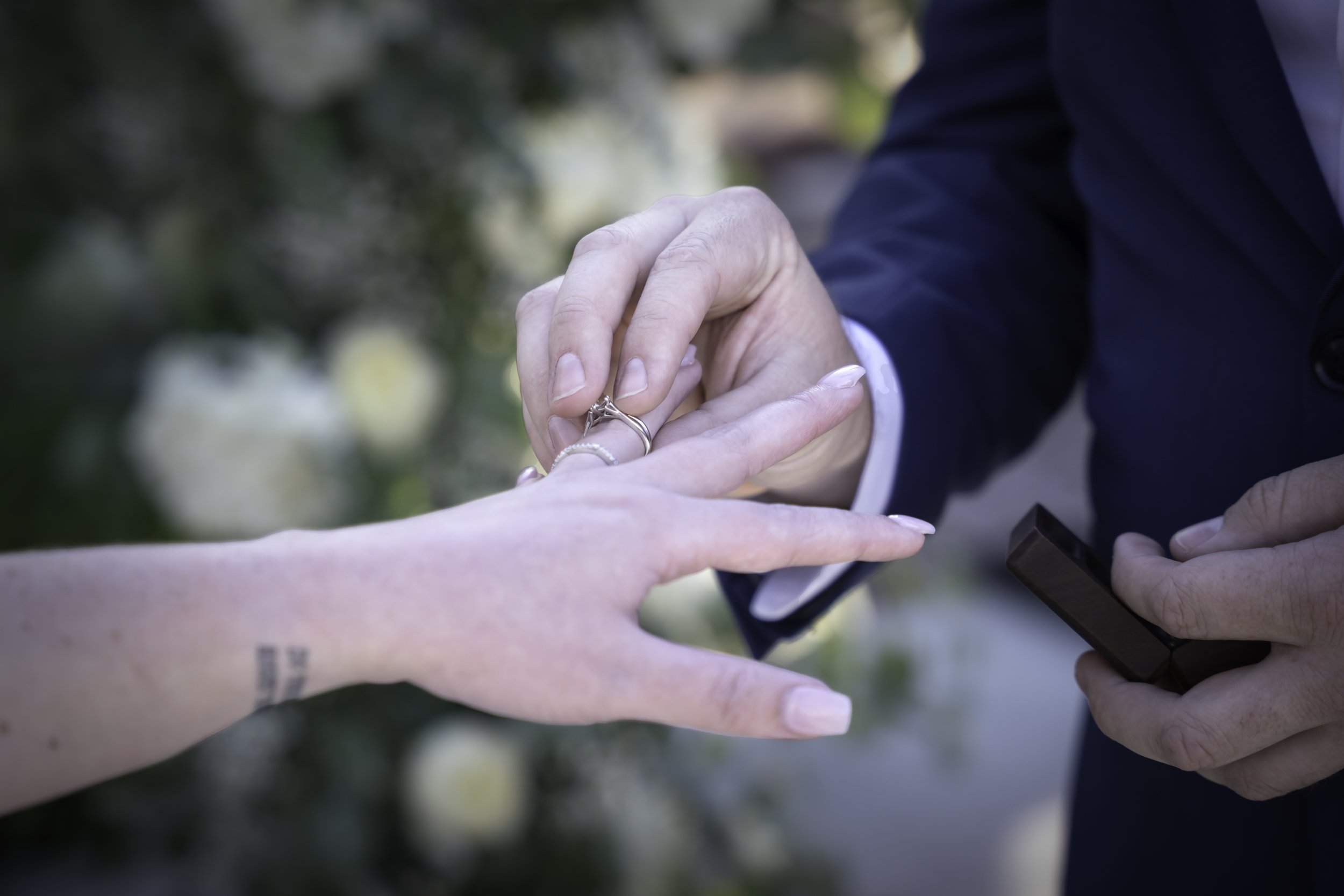 DSC08948-Edit copy.jpg