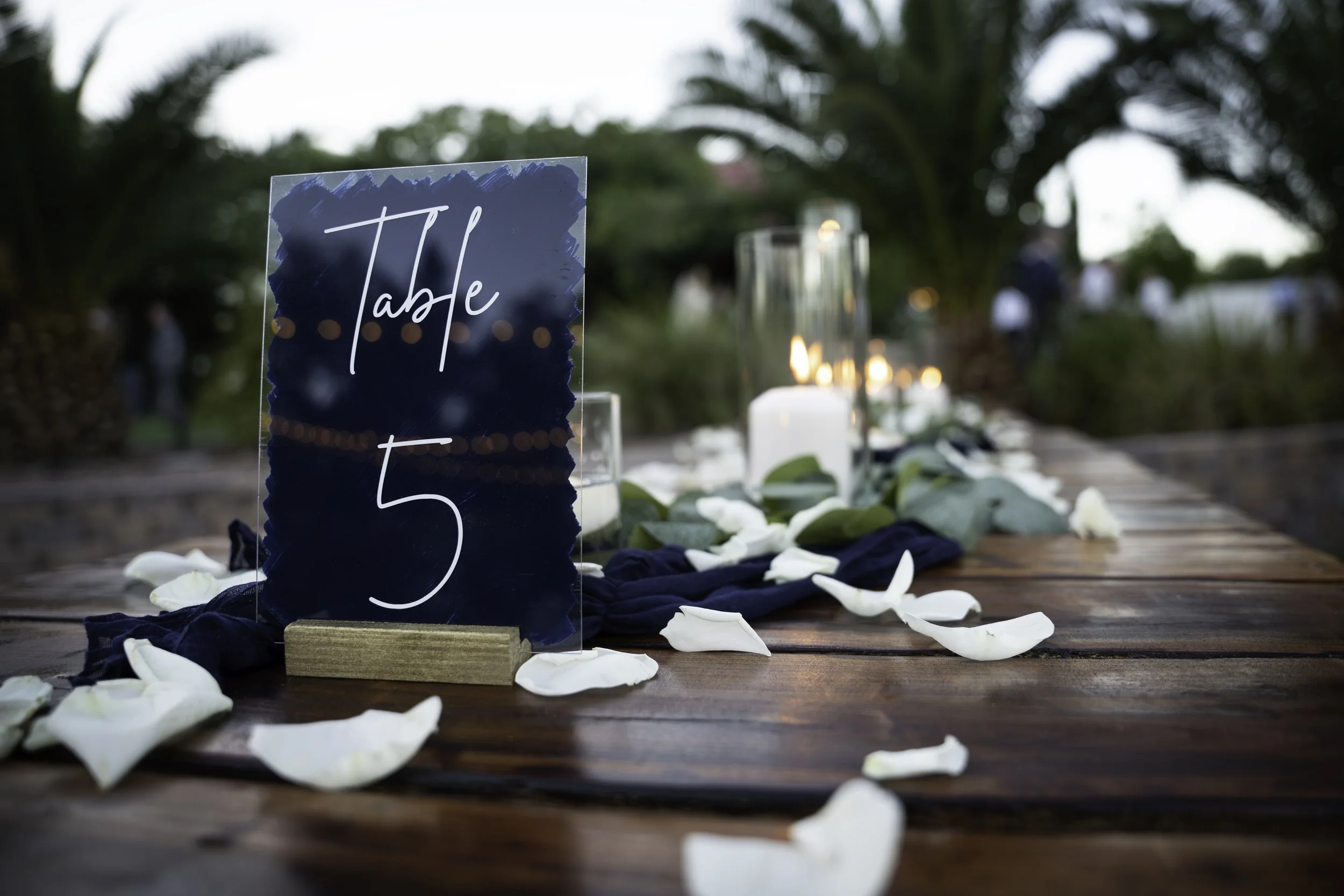 DSC09591-Enhanced-NR-Edit copy.jpg