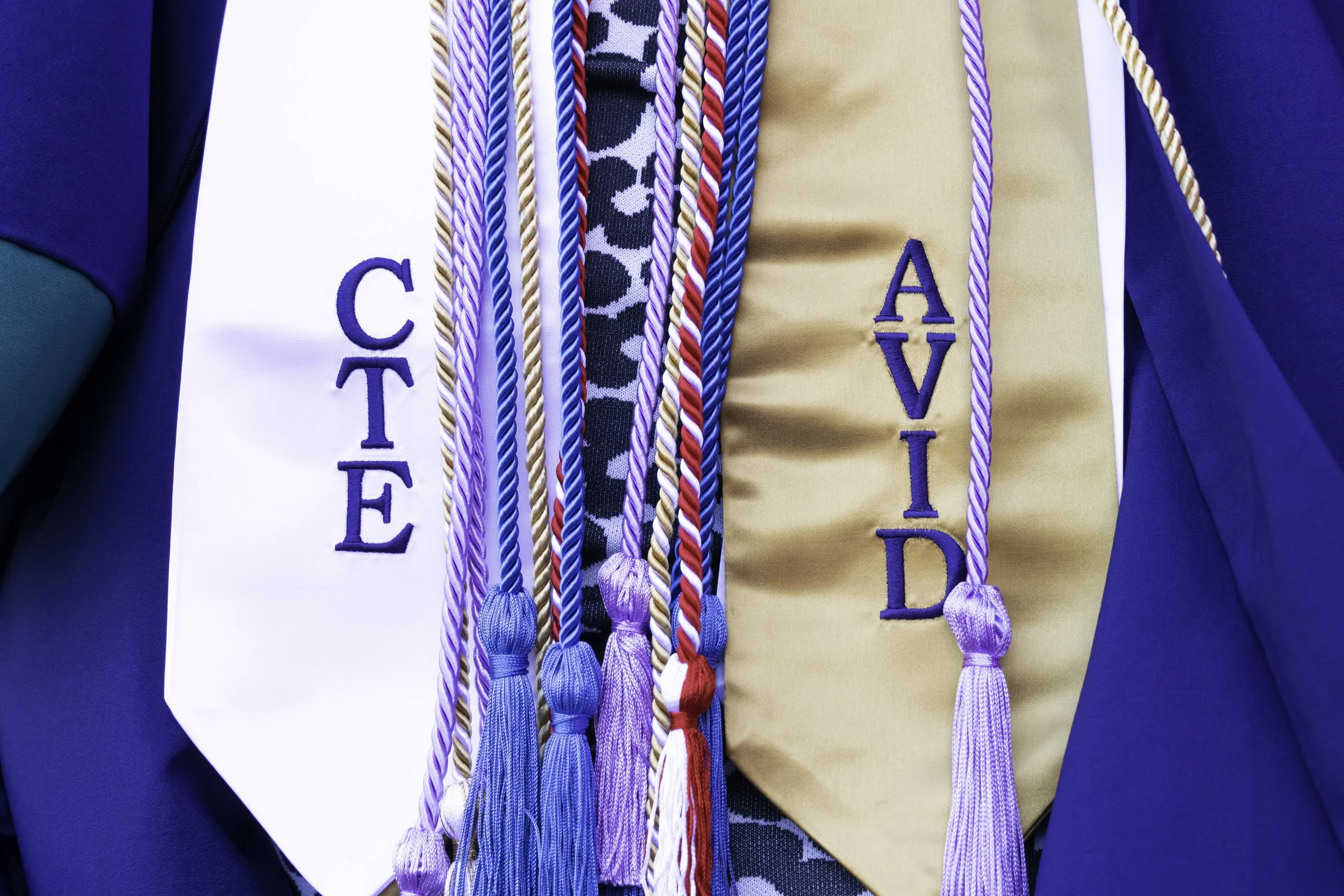 DSC01835-Edit copy.jpg