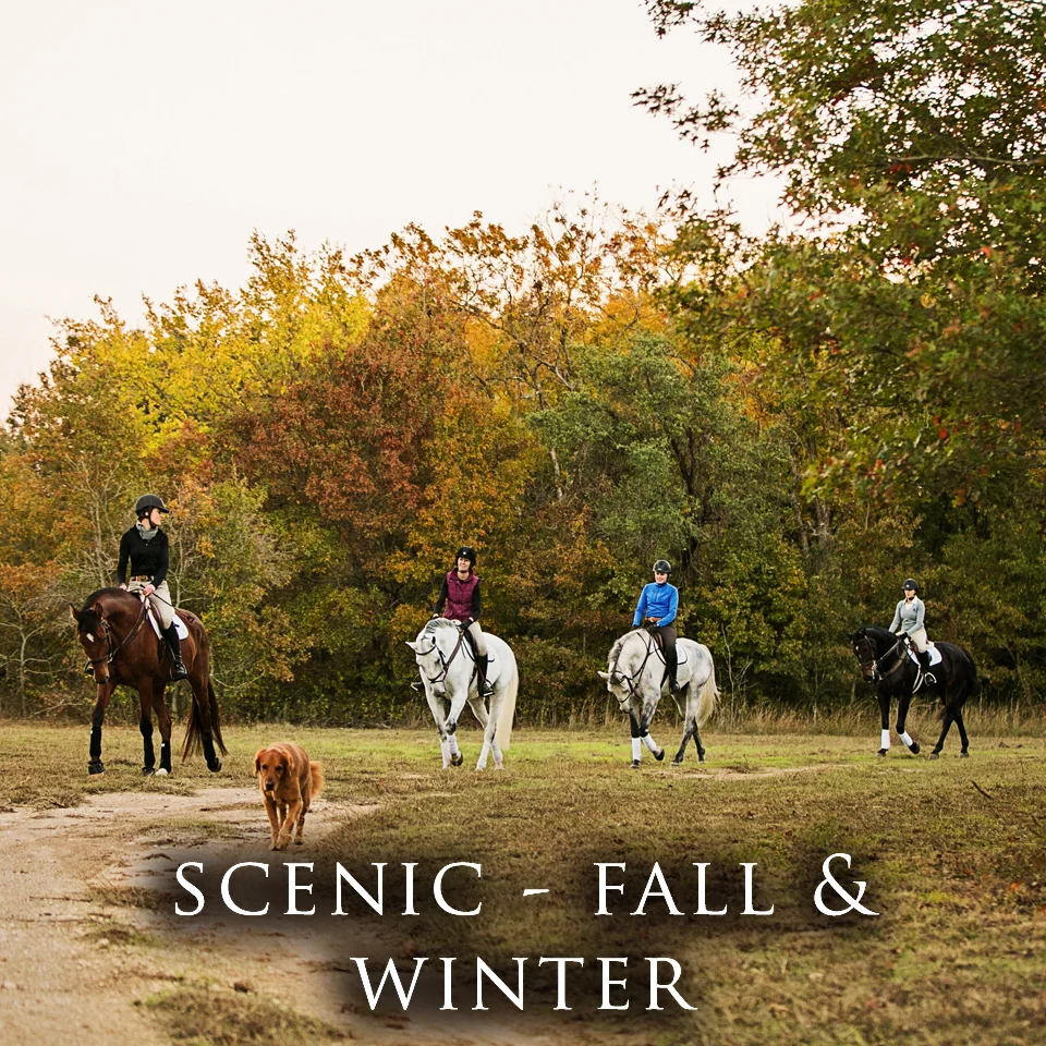 winter and fall.jpg