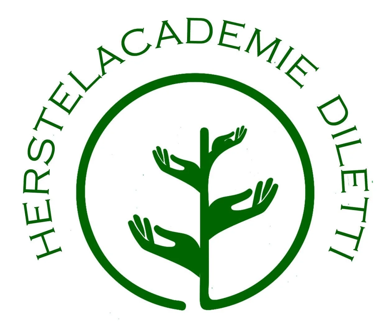 herstelacademie.jpeg