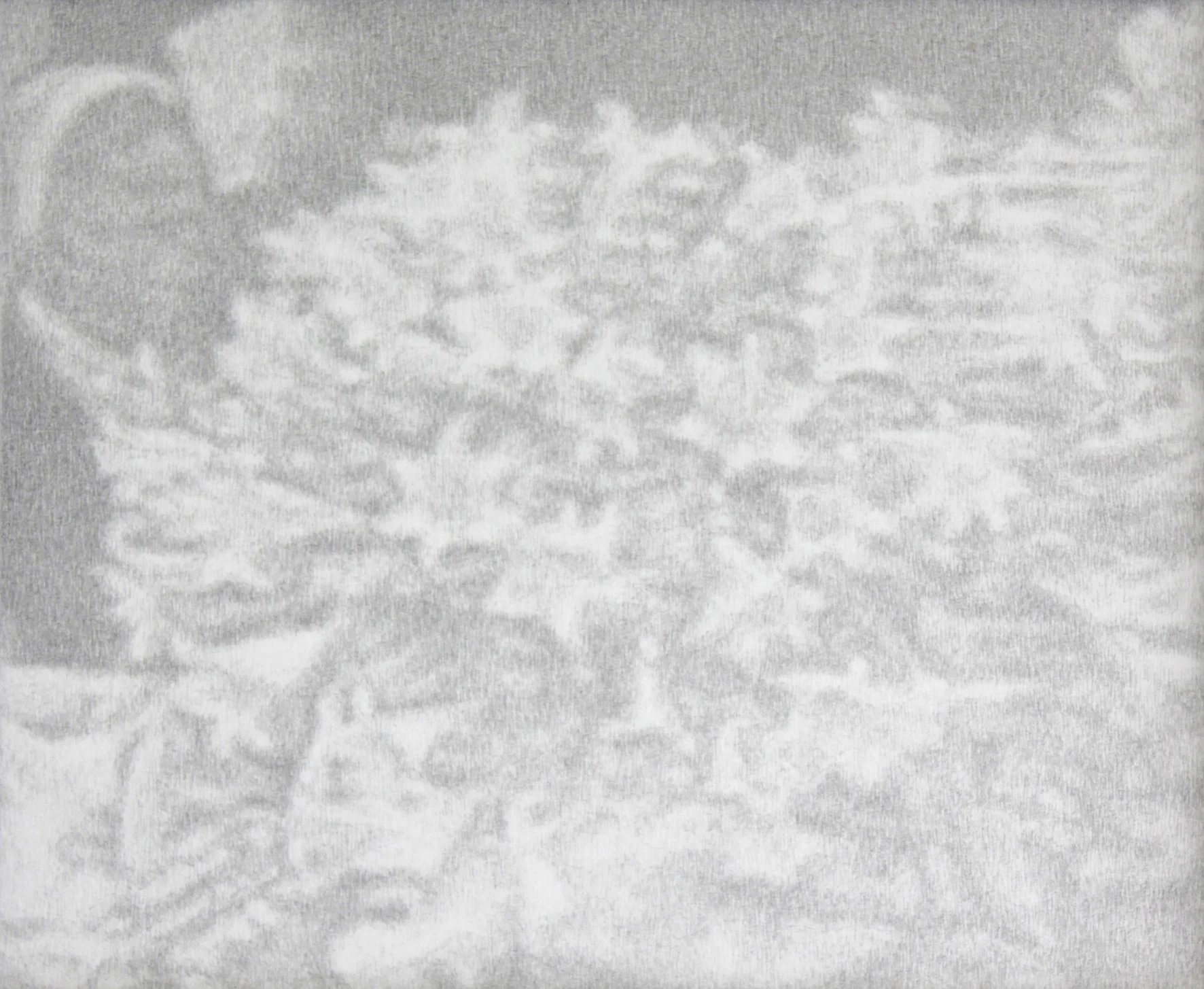 Szelit_The detail of news photo from Diana’s funeral (drawing).jpg