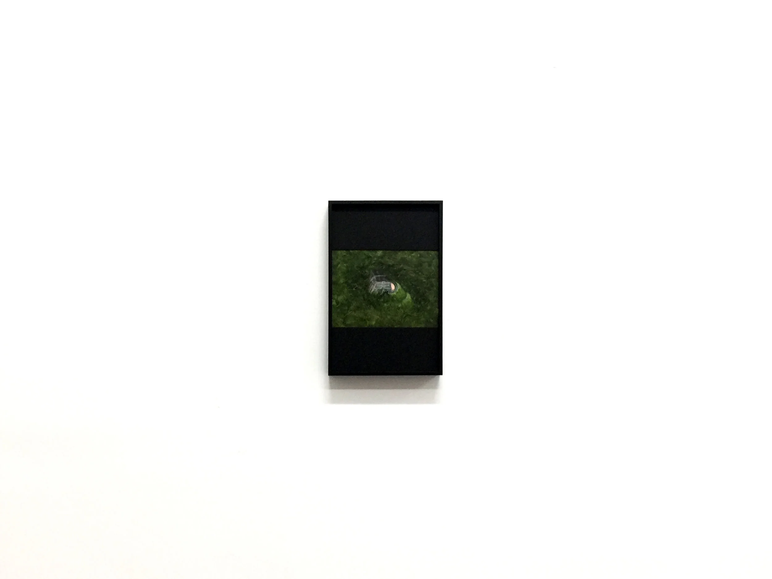 A Field in Somewhere display-II.jpg