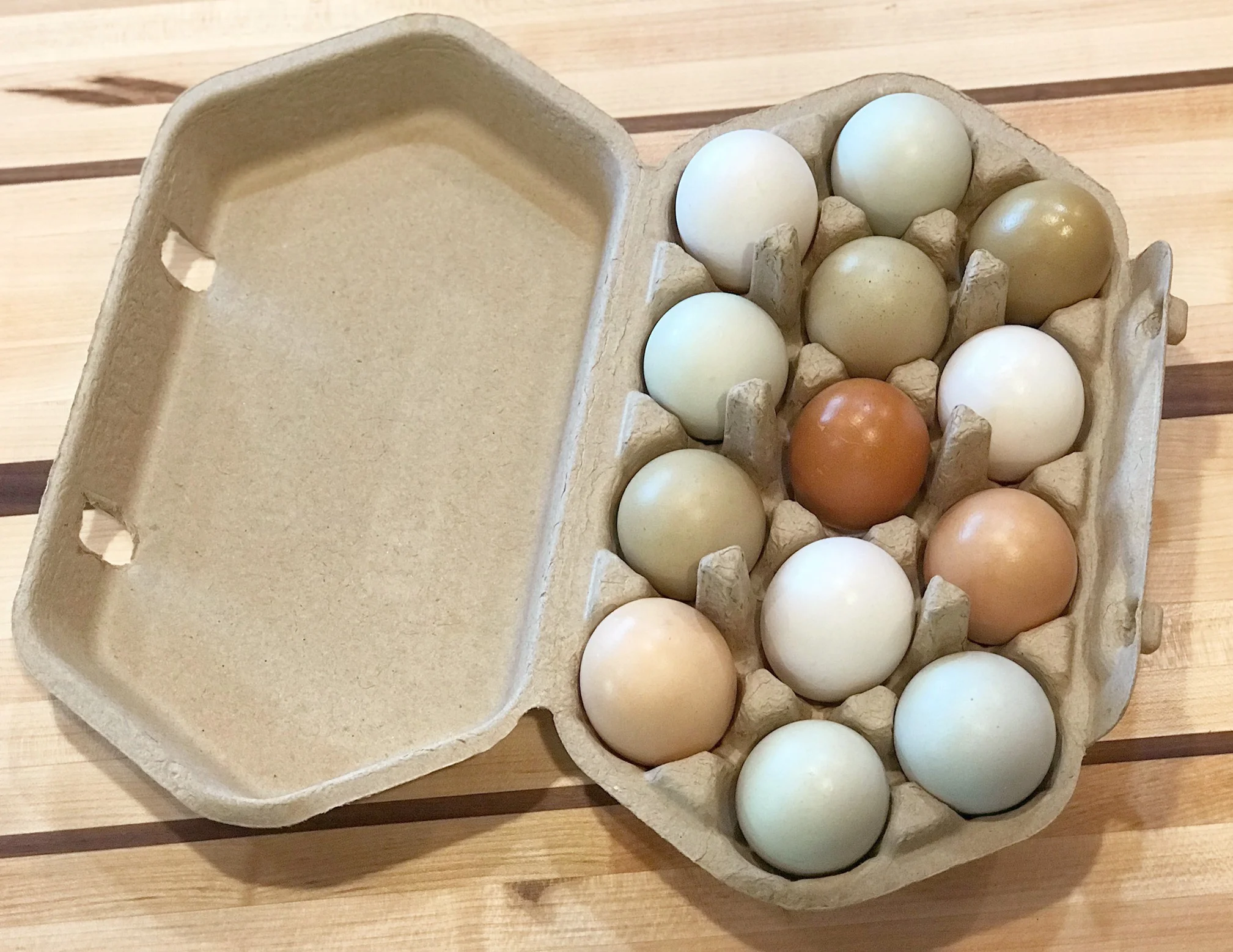 Multi-Color-eggs-0004.jpg
