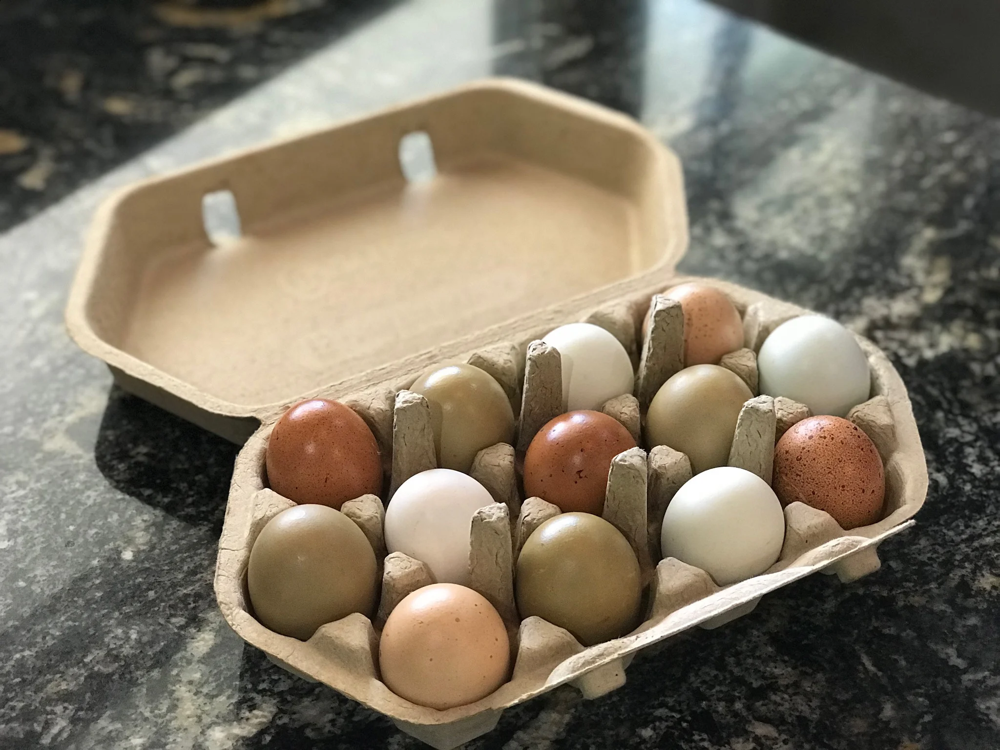 Multi-Color-eggs2-0037.jpg
