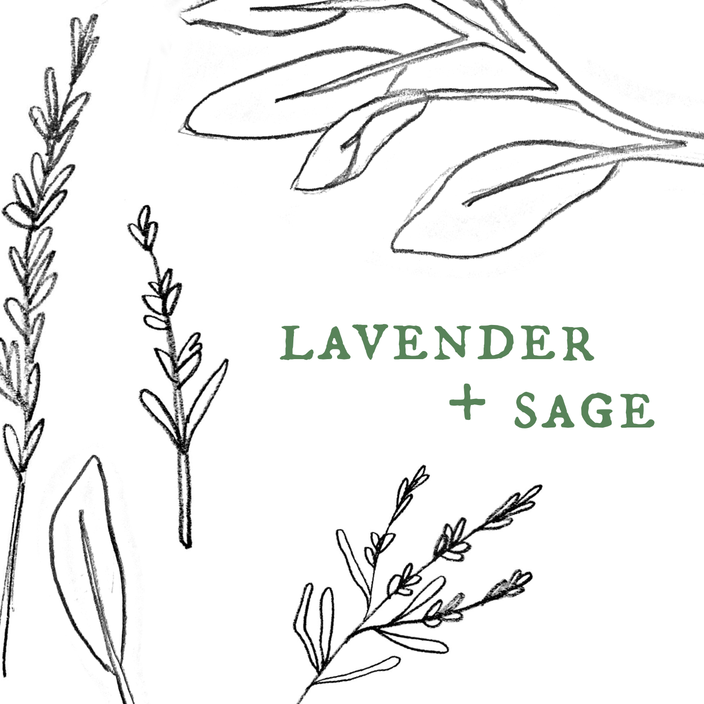Lavender + Sage.png