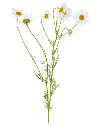 iStock-482097807.jpg