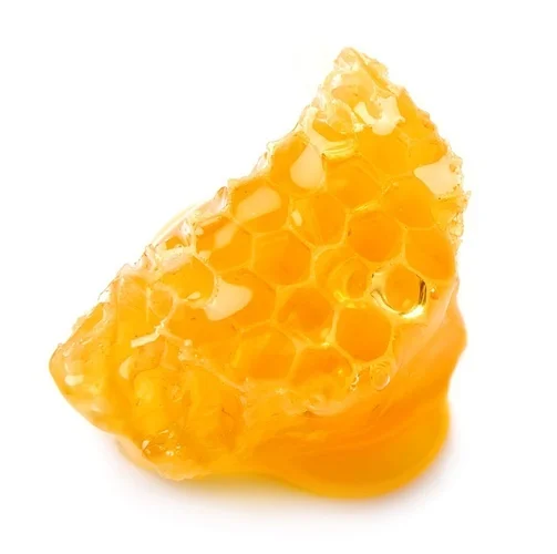 iStock-859675298.jpg