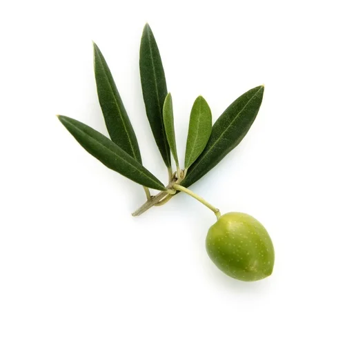 iStock-176114326.jpg