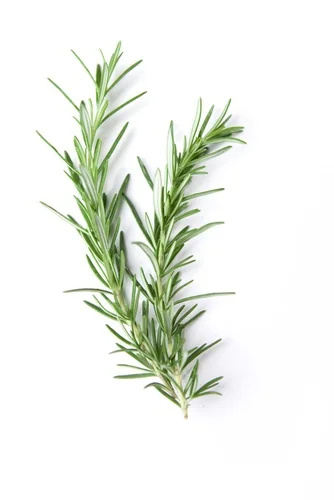 iStock-182793695.jpg