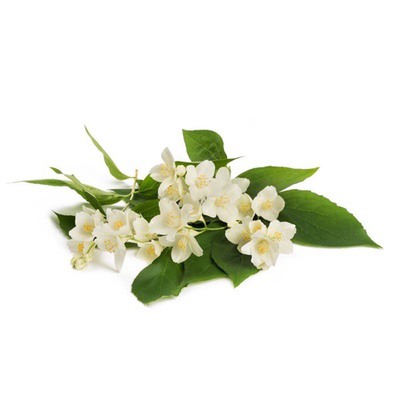 Neroli