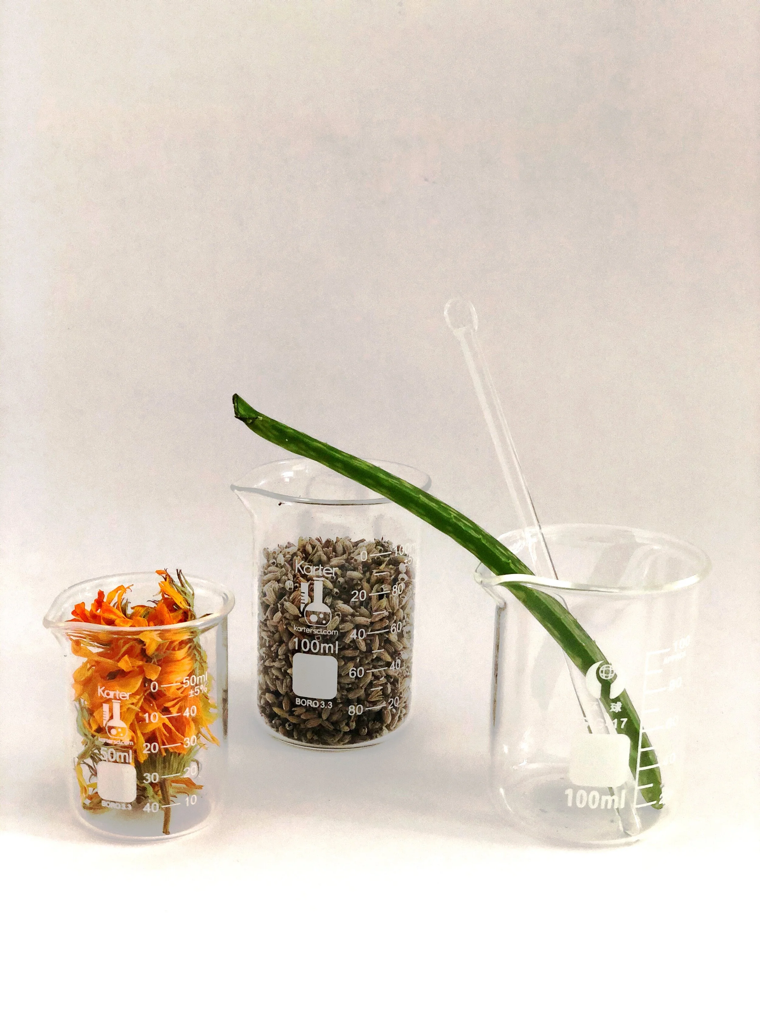 DIY Recipe: Hand Sanitizer