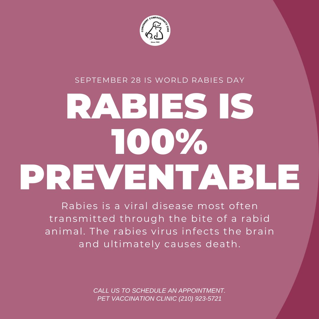 World Rabies Day - September 28th