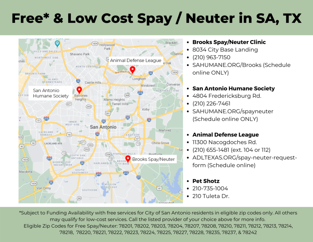 Free_ & Low Cost Spay _ Neuter in SA, TX_ENGLISH.png