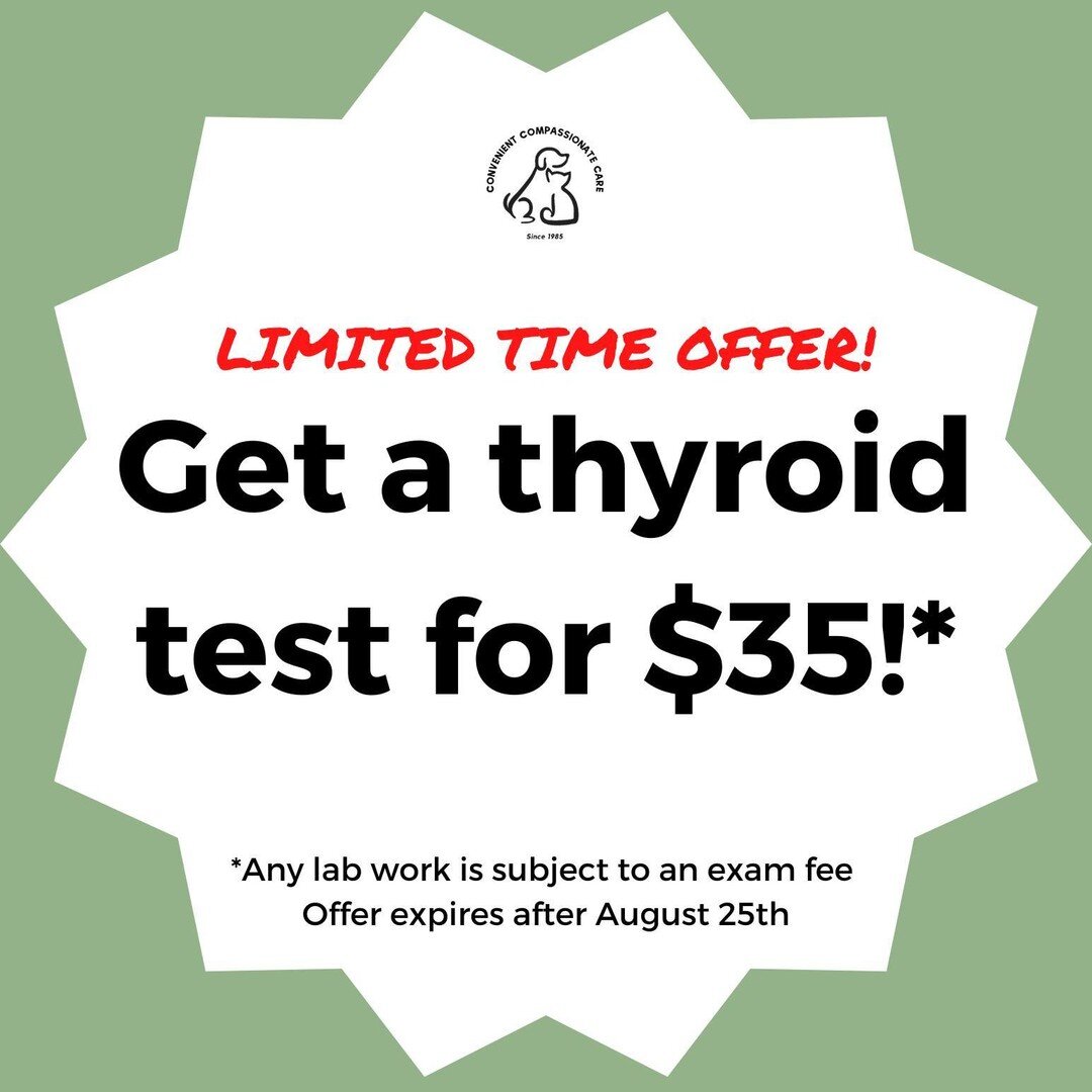LIMITED TIME DEAL - OFFER EXPIRES AFTER AUG 25TH
This week only, any thyroid testing for a dog or cat is $35!*

Thyroid testing is recommended for any pet 6 years or older, especially if they have the following symptoms: 
-Lethargy
-Exercise intolera