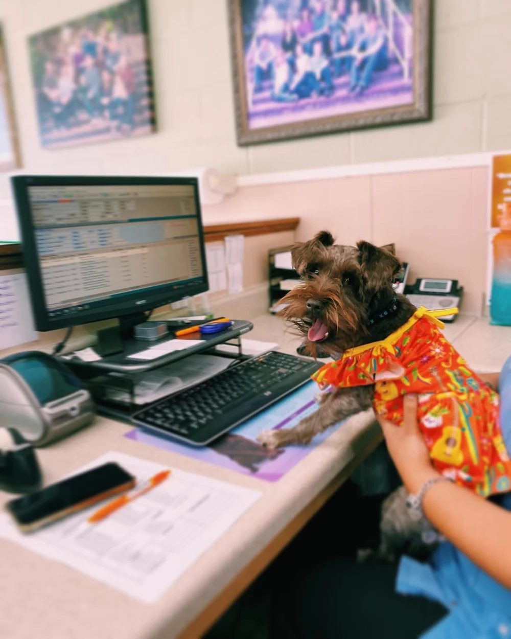 Our friend Jolene wants to remind you that you don&rsquo;t need an appointment to pick up flea and tick preventative. With all the rain lately, we&rsquo;re likely to see an increase in fleas and other pests! 🌧

Call ahead or come by the office durin