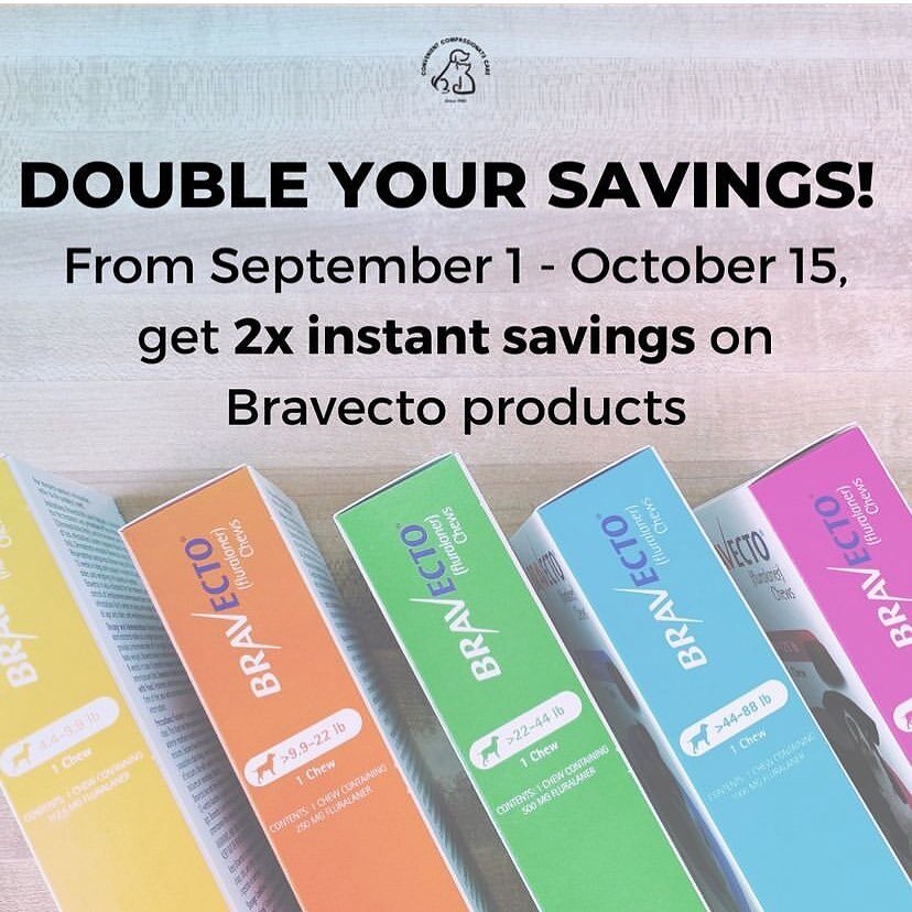 🚨SAVINGS ALERT🚨
From September 1 - October 15, 2022 the Bravecto instant rebate DOUBLES! Call ahead or stop by the office to save on this great flea and tick prevention.
🐾Buy 4 doses of Bravecto products* of the same size for the same pet = $50 in