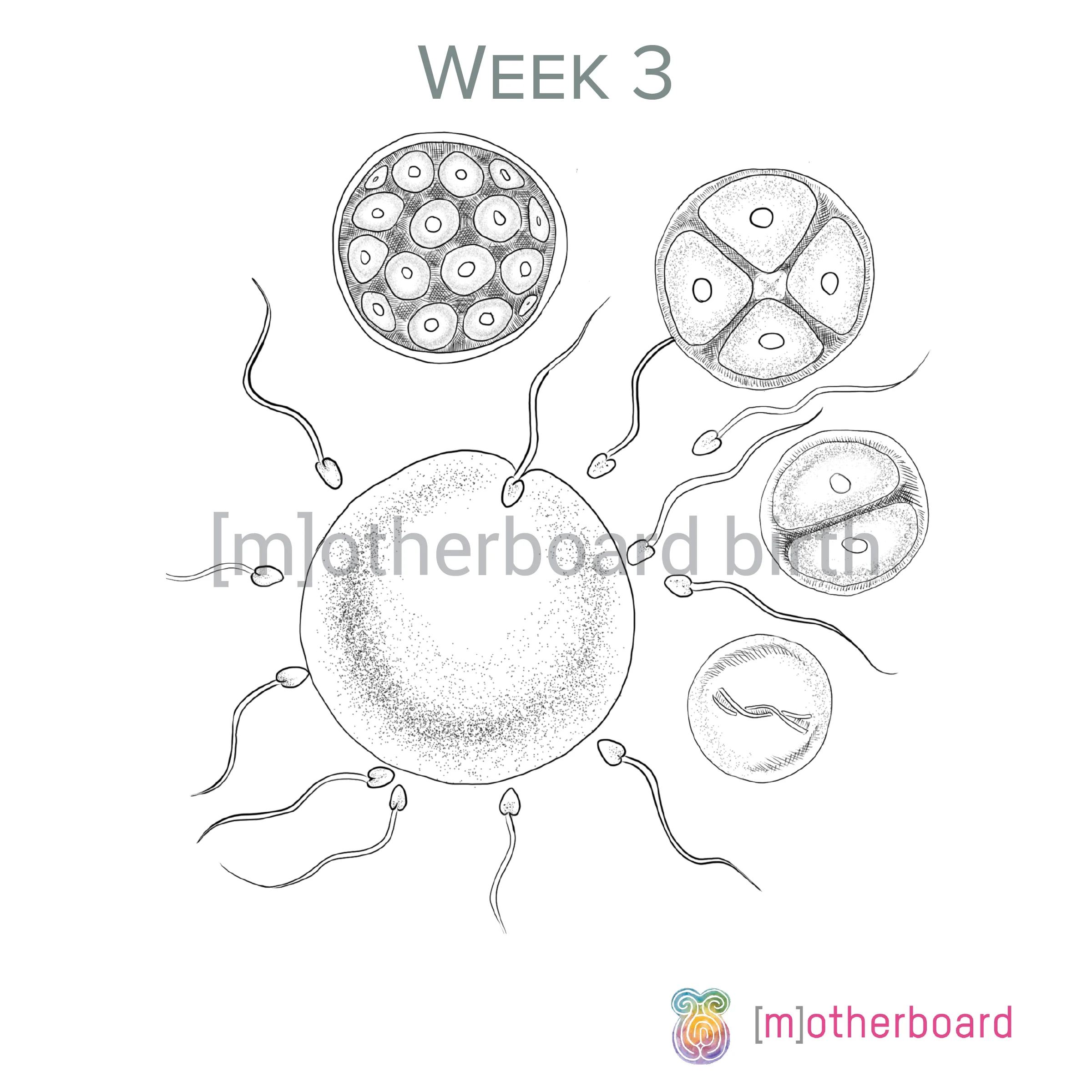 Coloring Book Watermarked 1.jpg