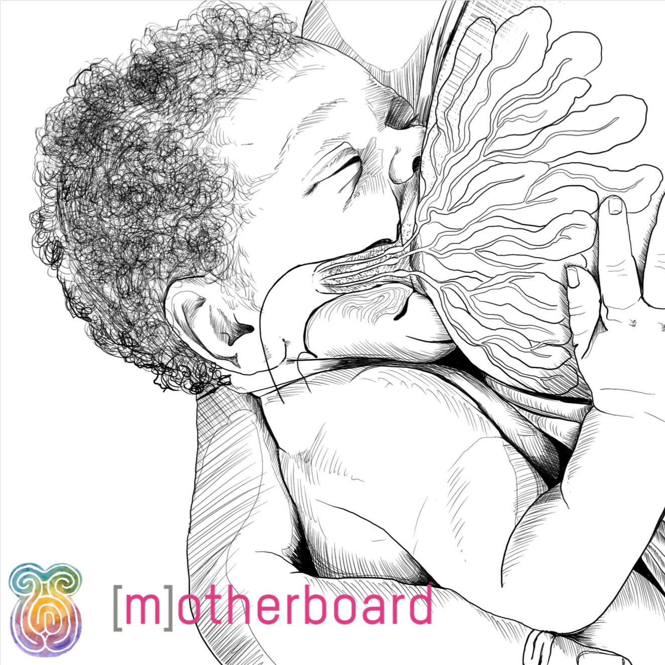 Screen Shot 2020-01-01 at 4.05.17 AM.png