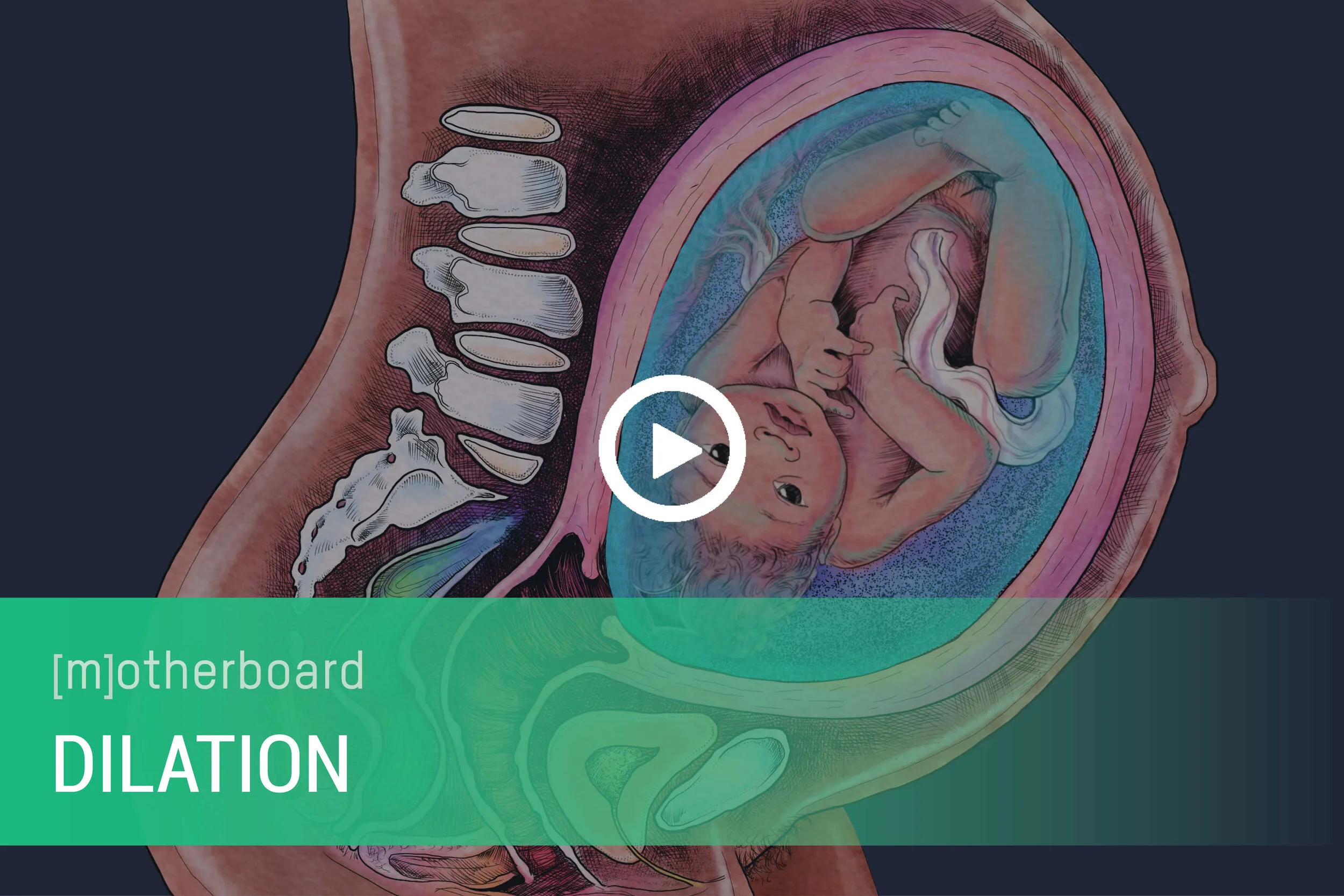 Cervical Exam Movie Covers2.jpg