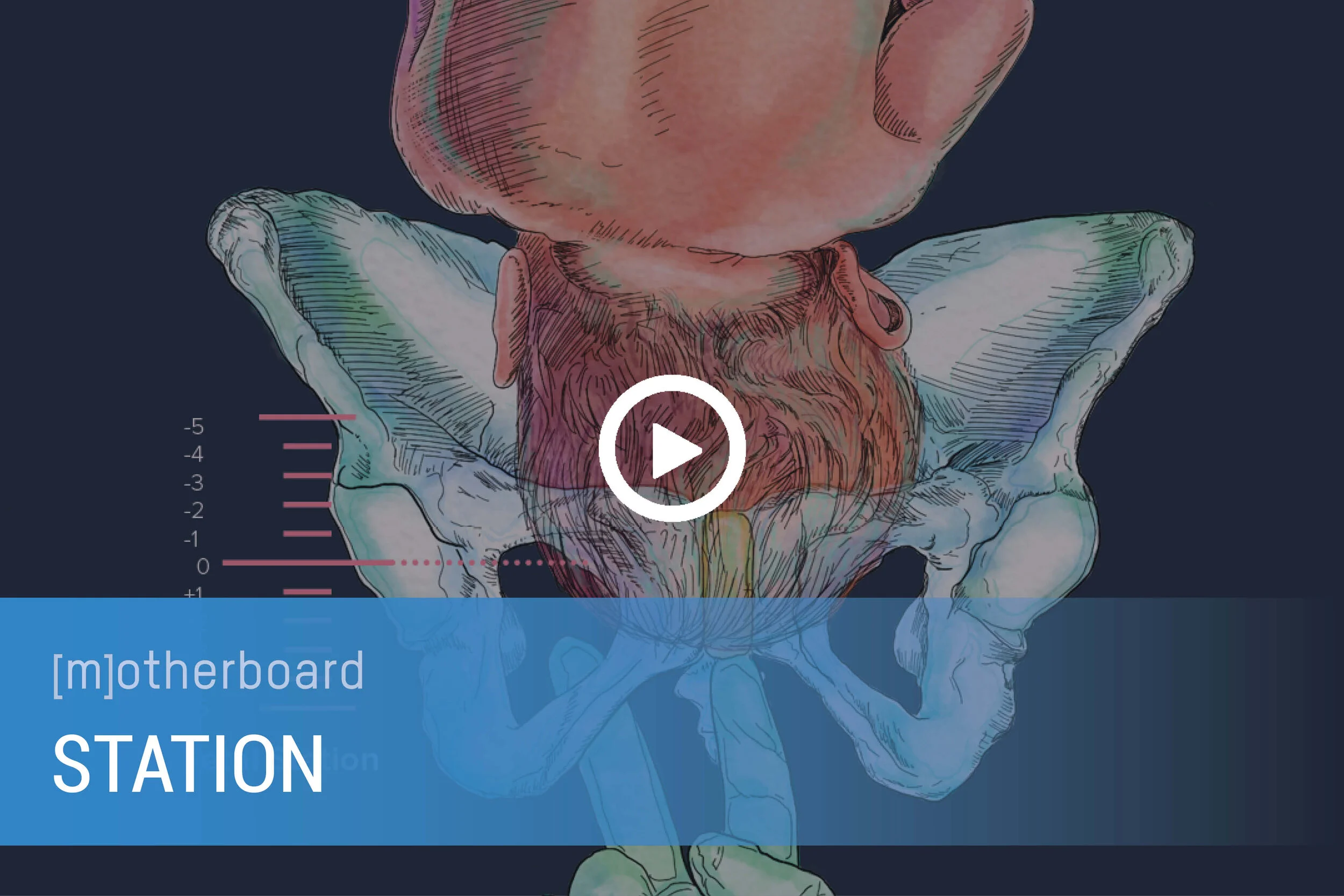 Cervical Exam Movie Covers4.jpg