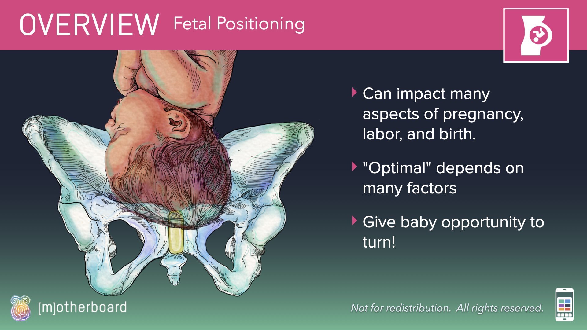 Fetal Positioning - Images.002.jpeg