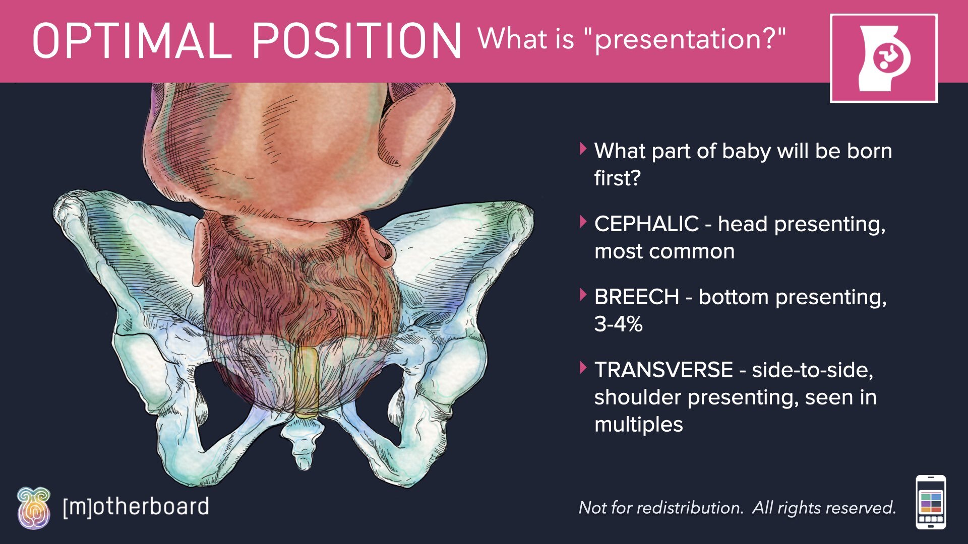 Fetal Positioning - Images.004.jpeg