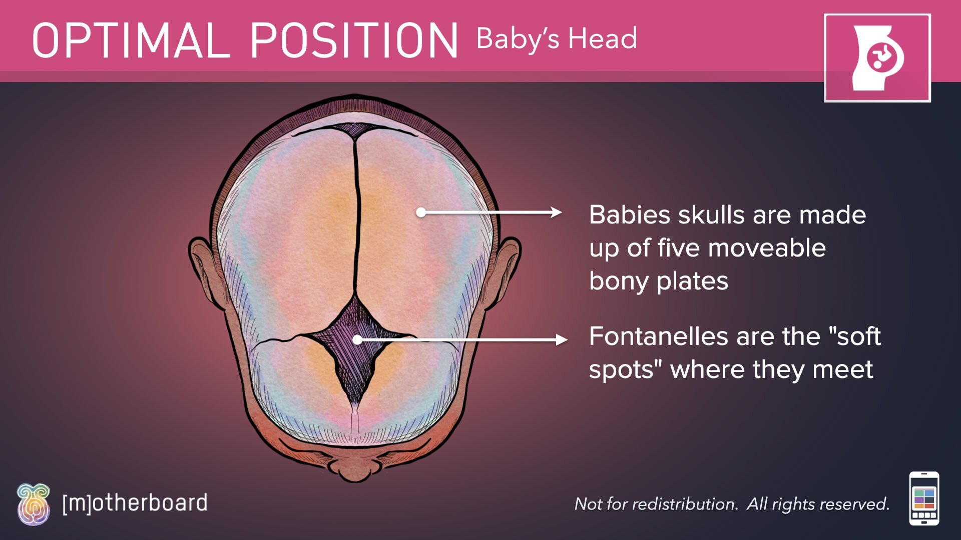 Fetal Positioning - Images.005.jpeg
