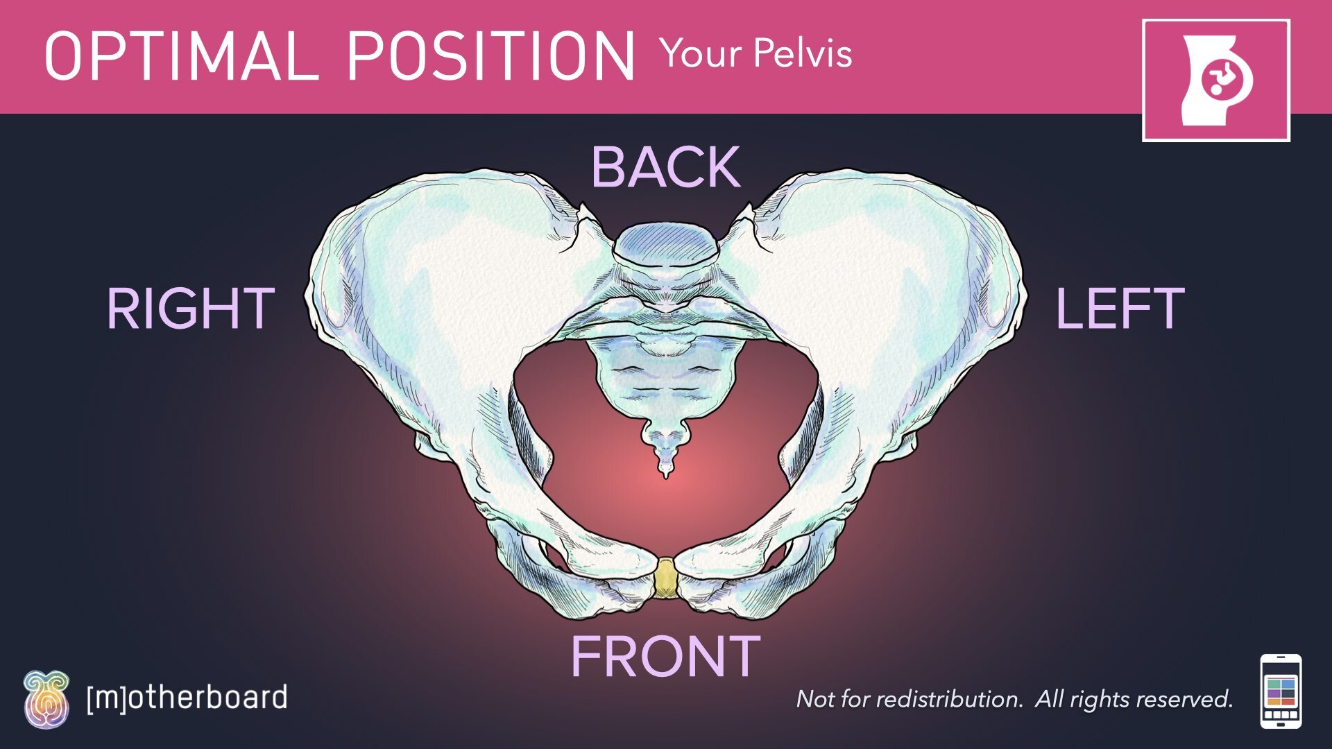 Fetal Positioning - Images.006.jpeg